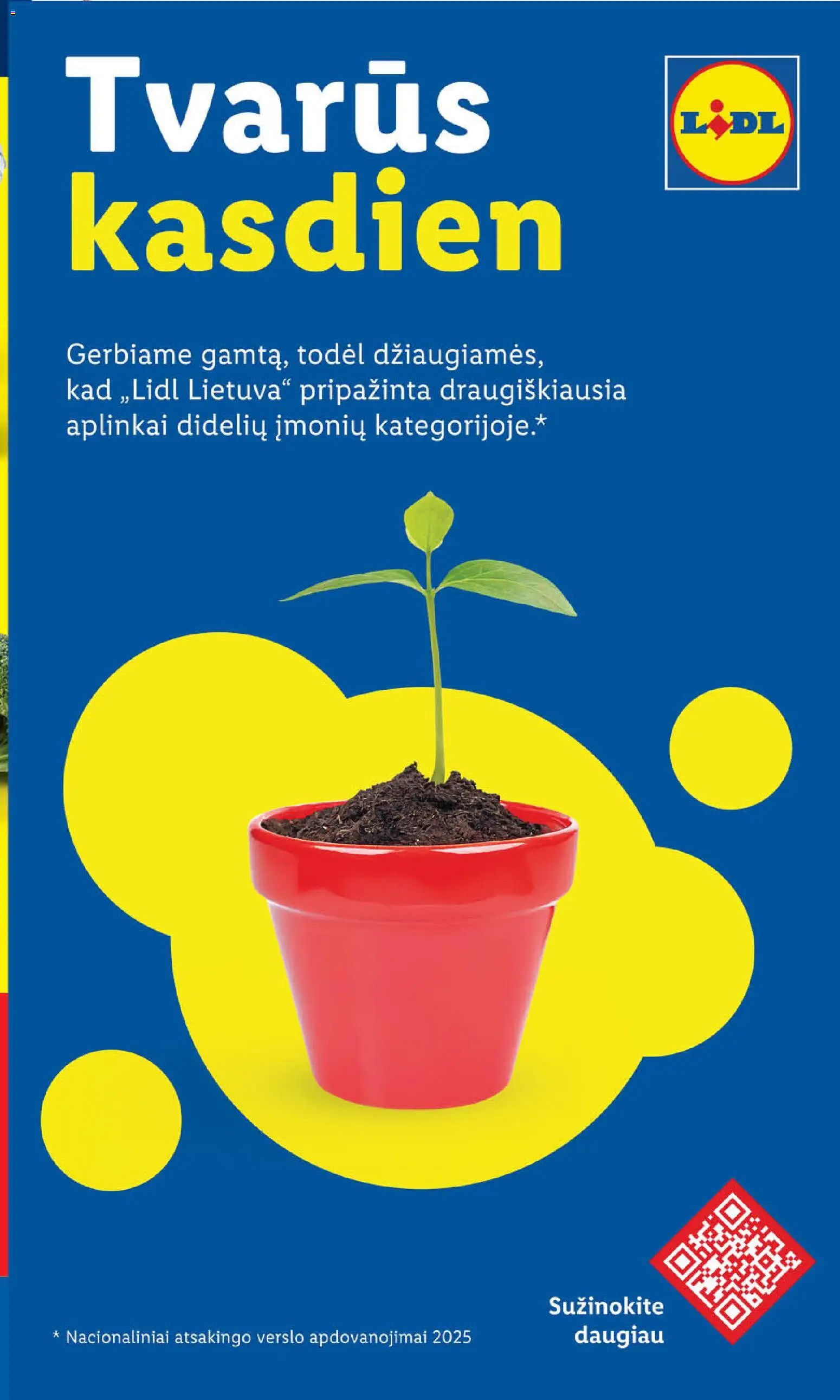 LIDL akcijos nuo 02.01.2026 | Puslapis: 40