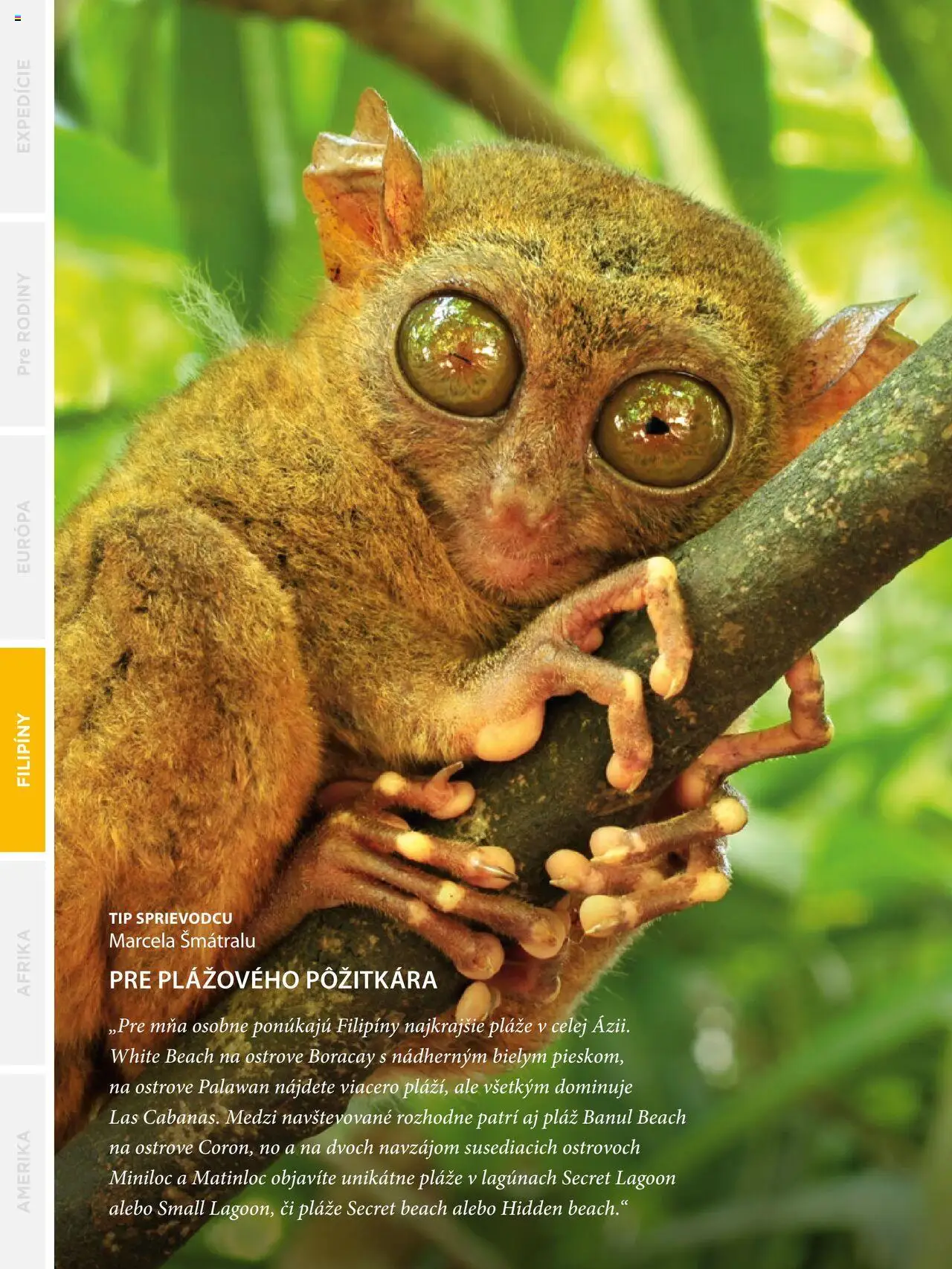 Nové Satur akcie – leták je platný od 24.09.2024 | Strana: 170