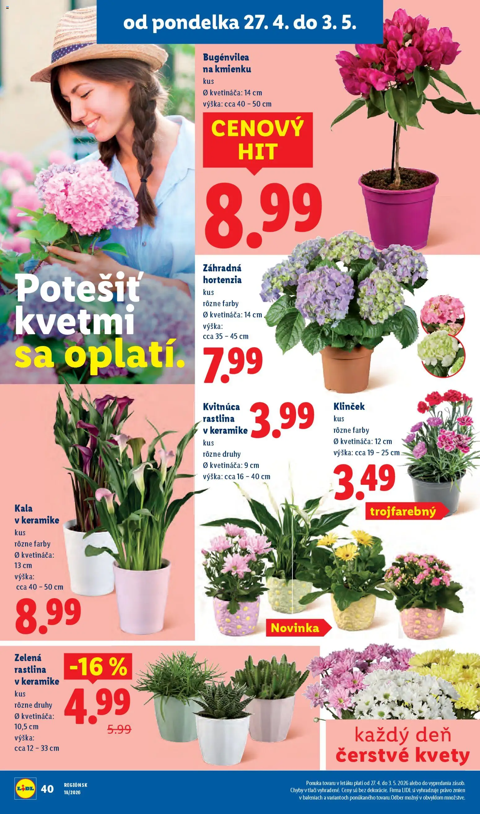 Nové Lidl akcie – leták je platný od 27.04.2026 | Strana: 42 | Produkty: Kvety