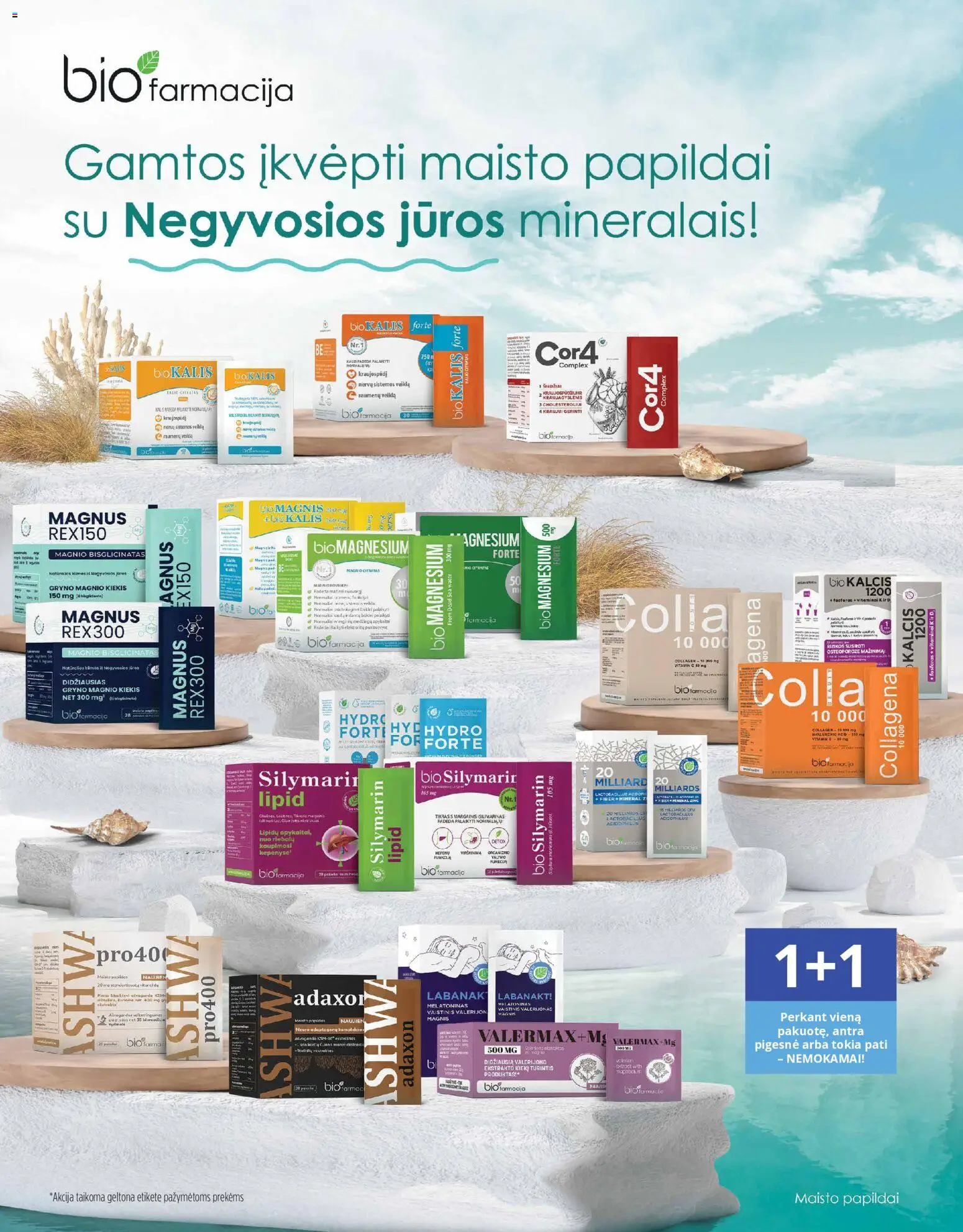 Norfa vaistinė akcijos nuo 01.02.2026 | Puslapis: 2