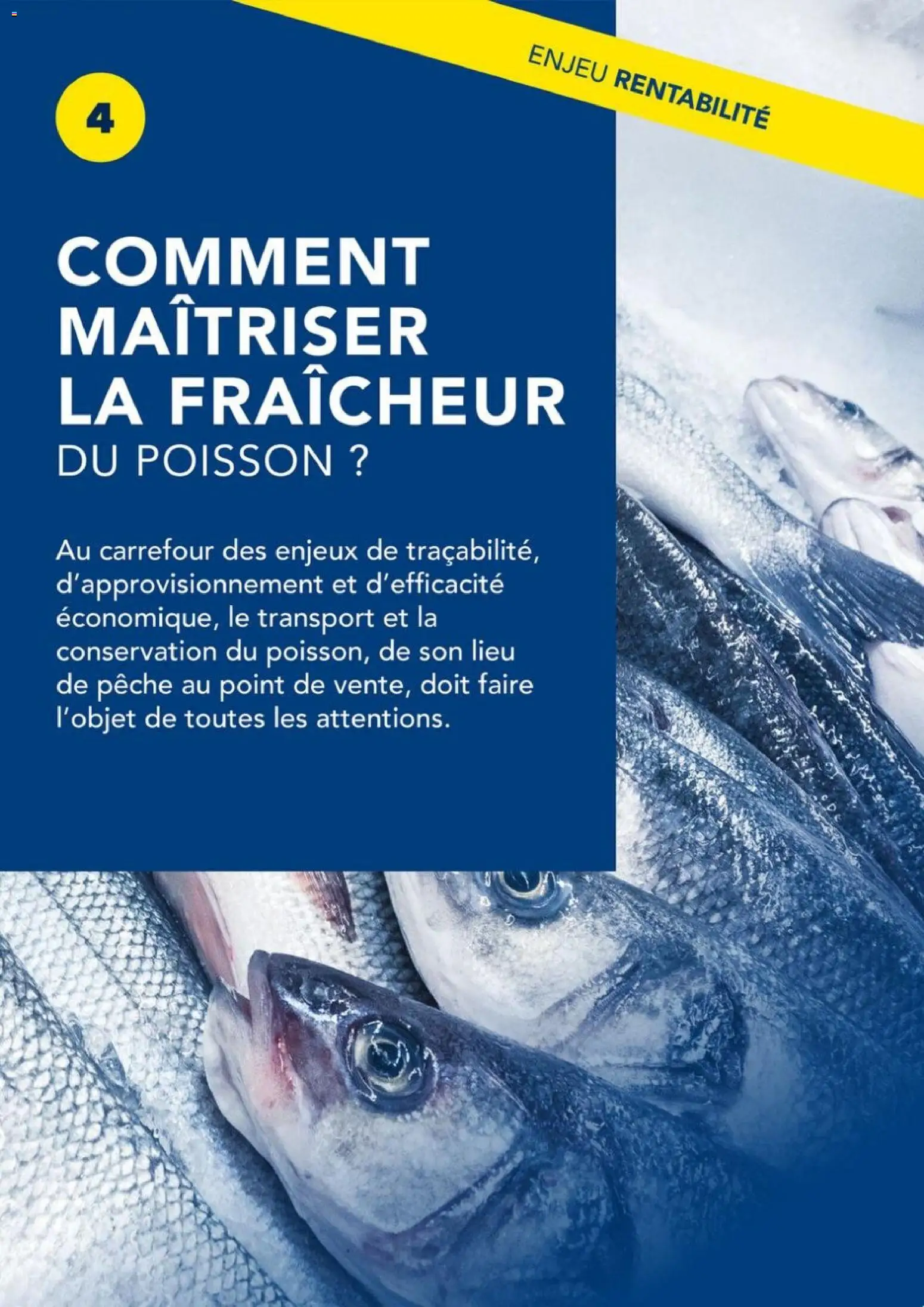 {H1} | Page: 23 | Produits: Pêche, Poisson