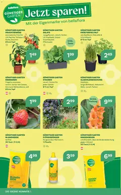 bellaflora Flugblatt ab 02.04.2026 gültig | Seite: 10