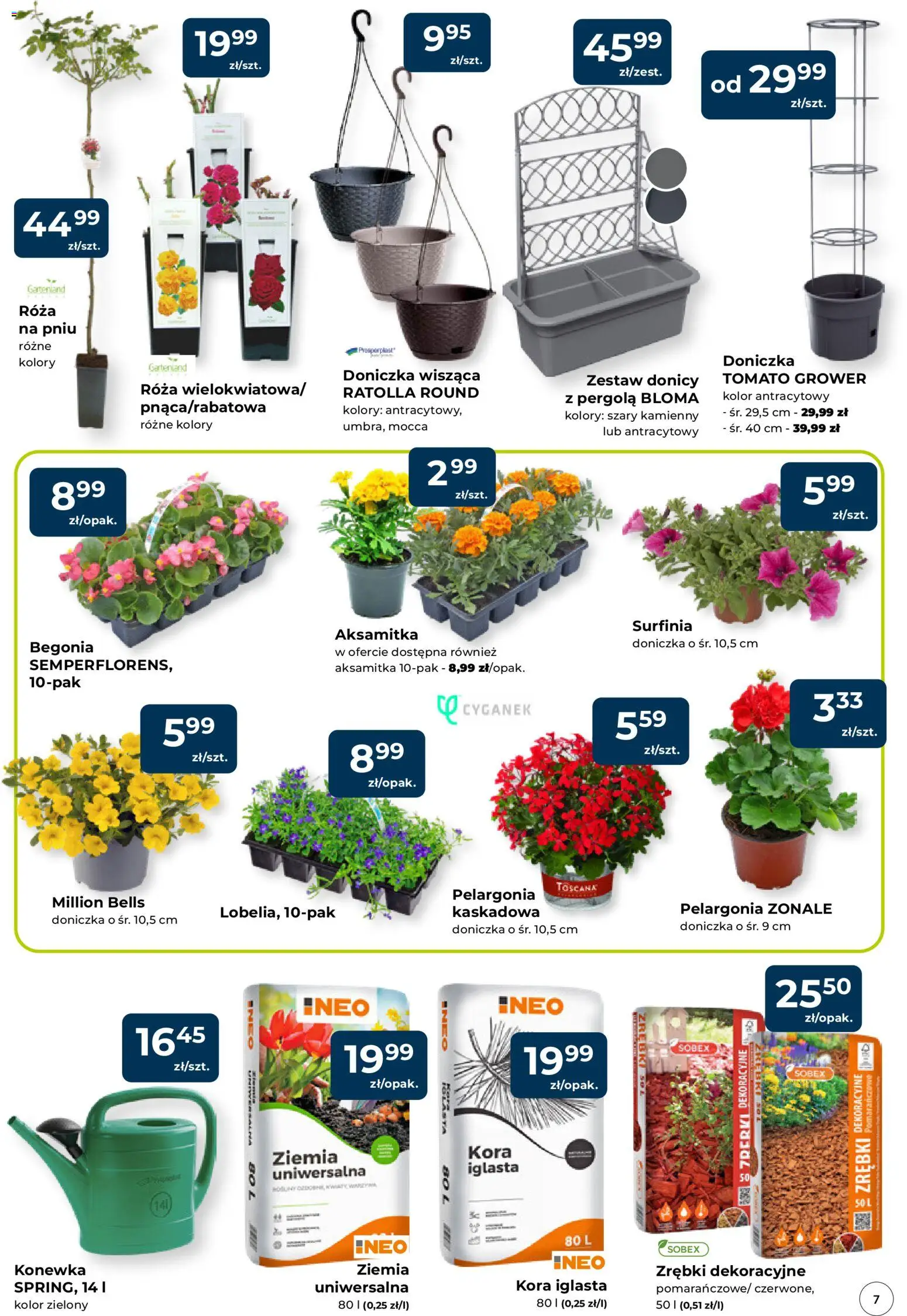 Mrówka gazetka - Elbląg od 23.04.2026 | Strona: 7 | Produkty: Róża na pniu, Ziemia, Doniczka, Sól