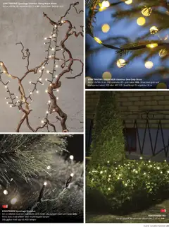 Elon - erbjudanden - Förhandsvisning av reklamblad från butik Elon aktuell från 31.10.2025 | Sida: 23