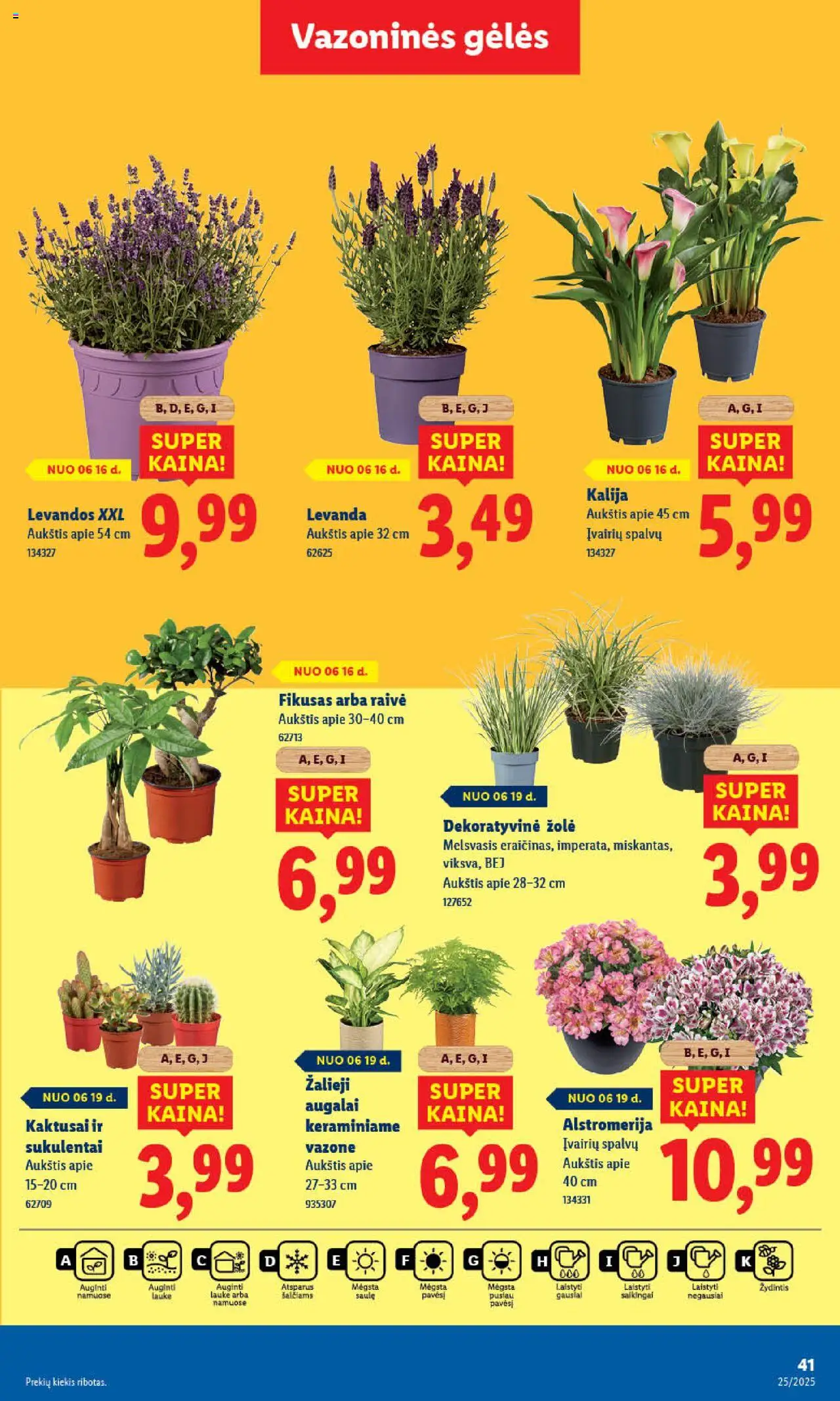 LIDL leidinys│galioja nuo 16.06.2025 | Puslapis: 41
