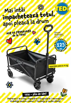 Ofertele TEDi valabile de la 13.03.2026 | Pagină: 25 | Produse: Cărucior de transport