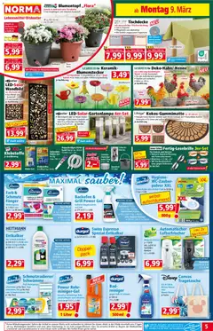 Norma Flugblatt ab 09.03.2026 gültig | Seite: 5