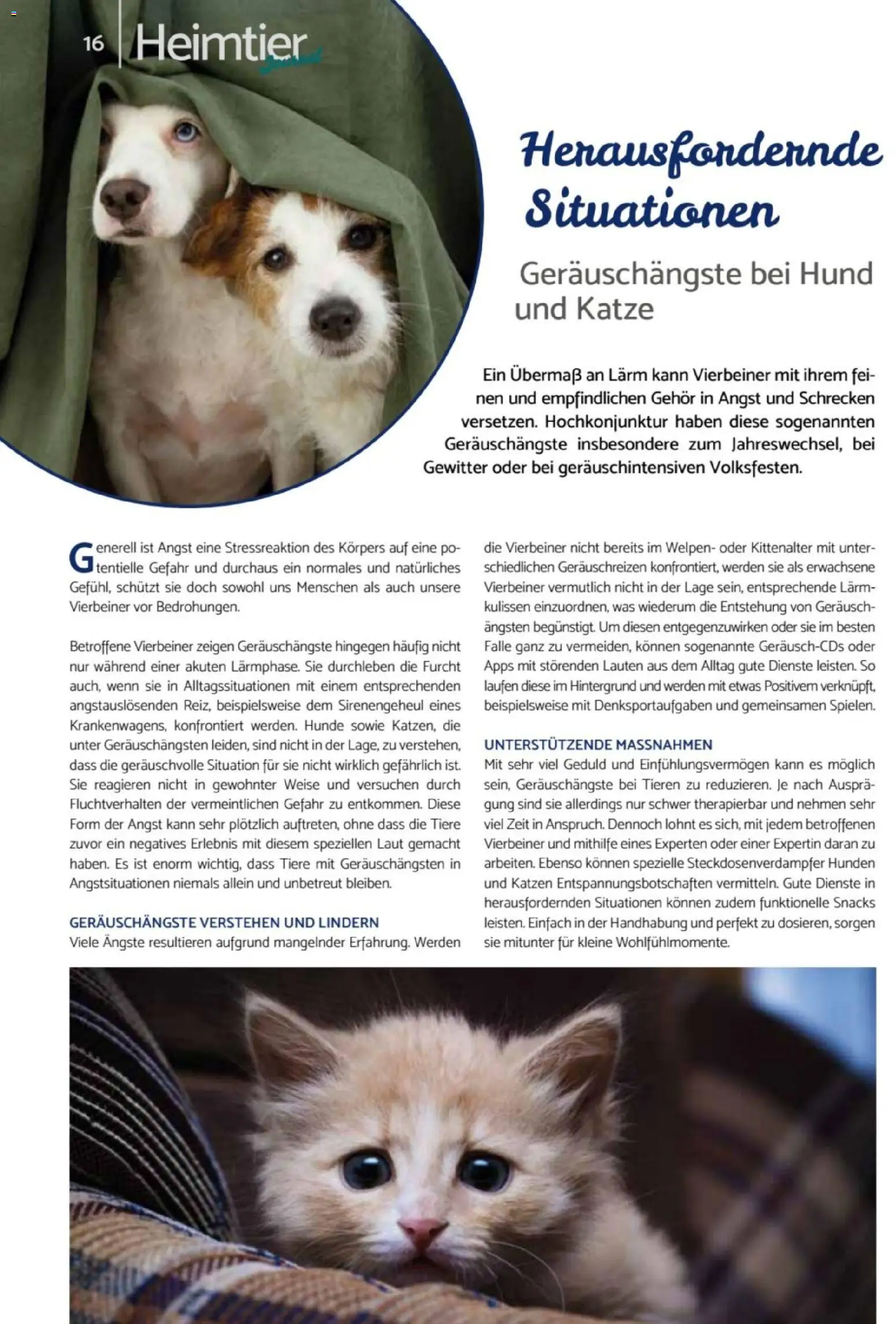 zookauf - Heimtier Journal – gültig ab 01.12.2025 | Seite: 16