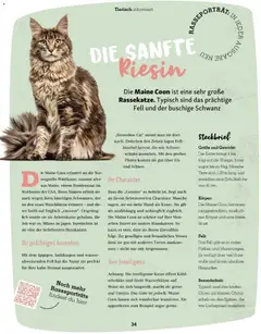 Fressnapf Friends 02/26 ab 01.03.2026 gültig | Seite: 34