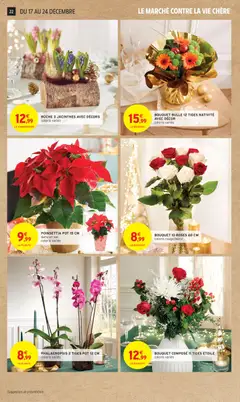 Intermarché - Prévisualisation de Intermarché catalogue semaine 51 valide à partir de 16.12.2025 | Page: 22 | Produits: Poinsettia, Sac