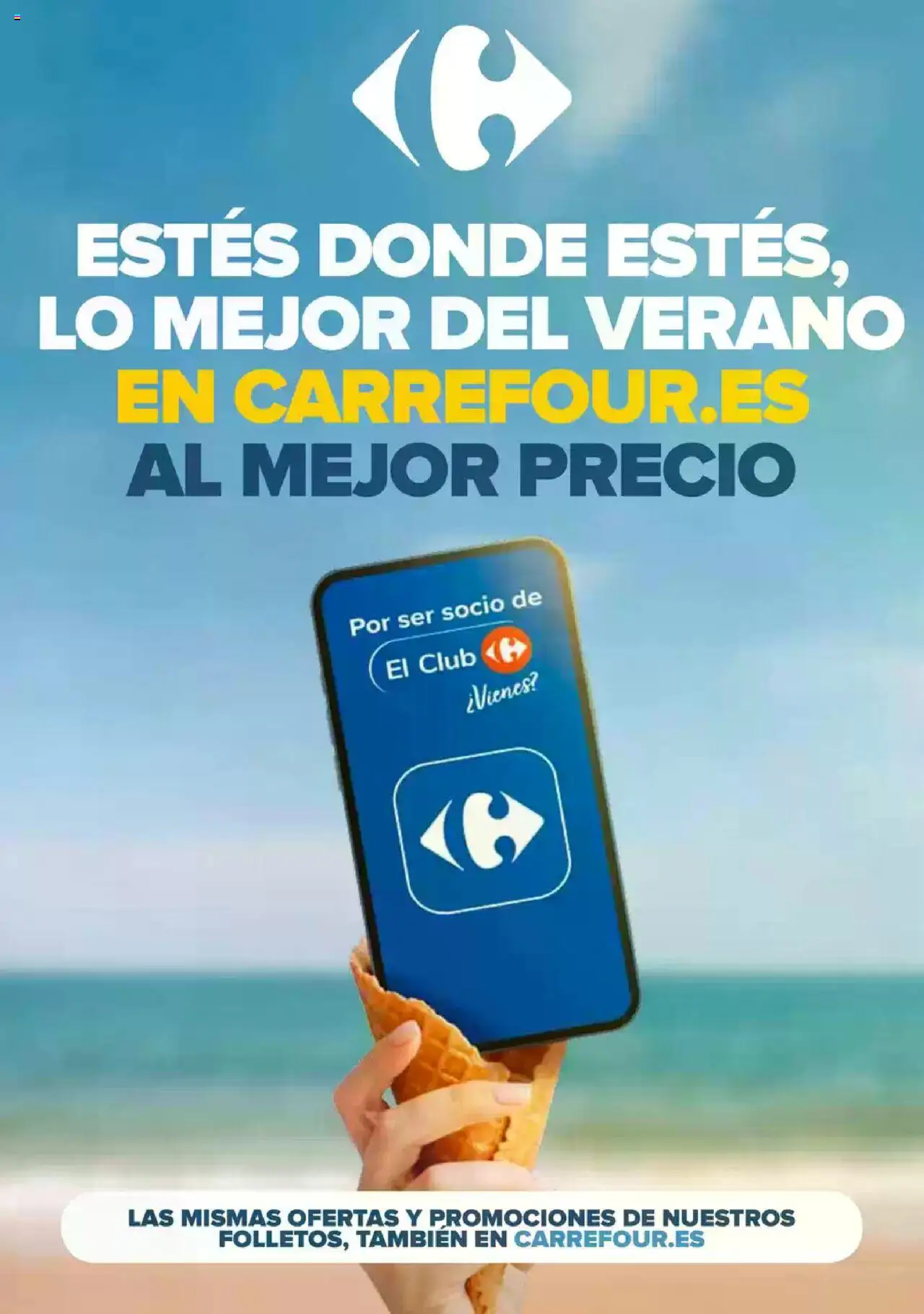 Carrefour folleto │ válido desde el 26.06.2025 | Página: 45