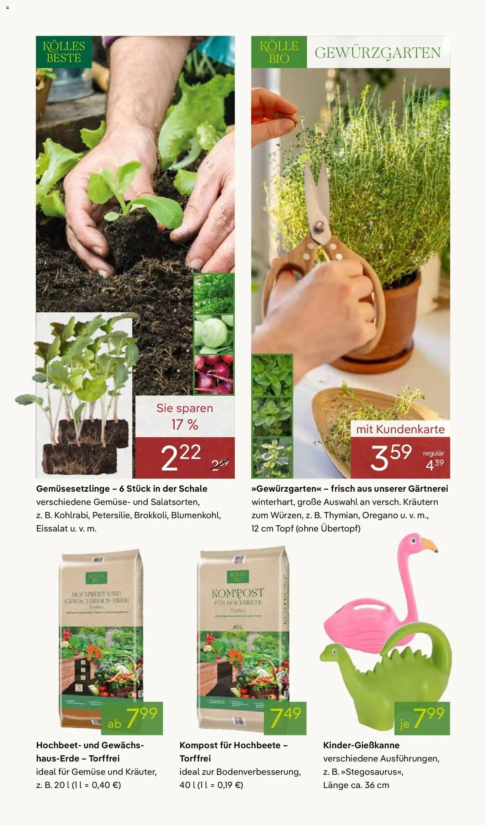 Pflanzen-Kölle - Pflanzen-Kölle: Blühende Osterzeit – gültig ab 30.03.2026 | Seite: 6 | Produkte: Hochbeet, Eissalat, Gemüse