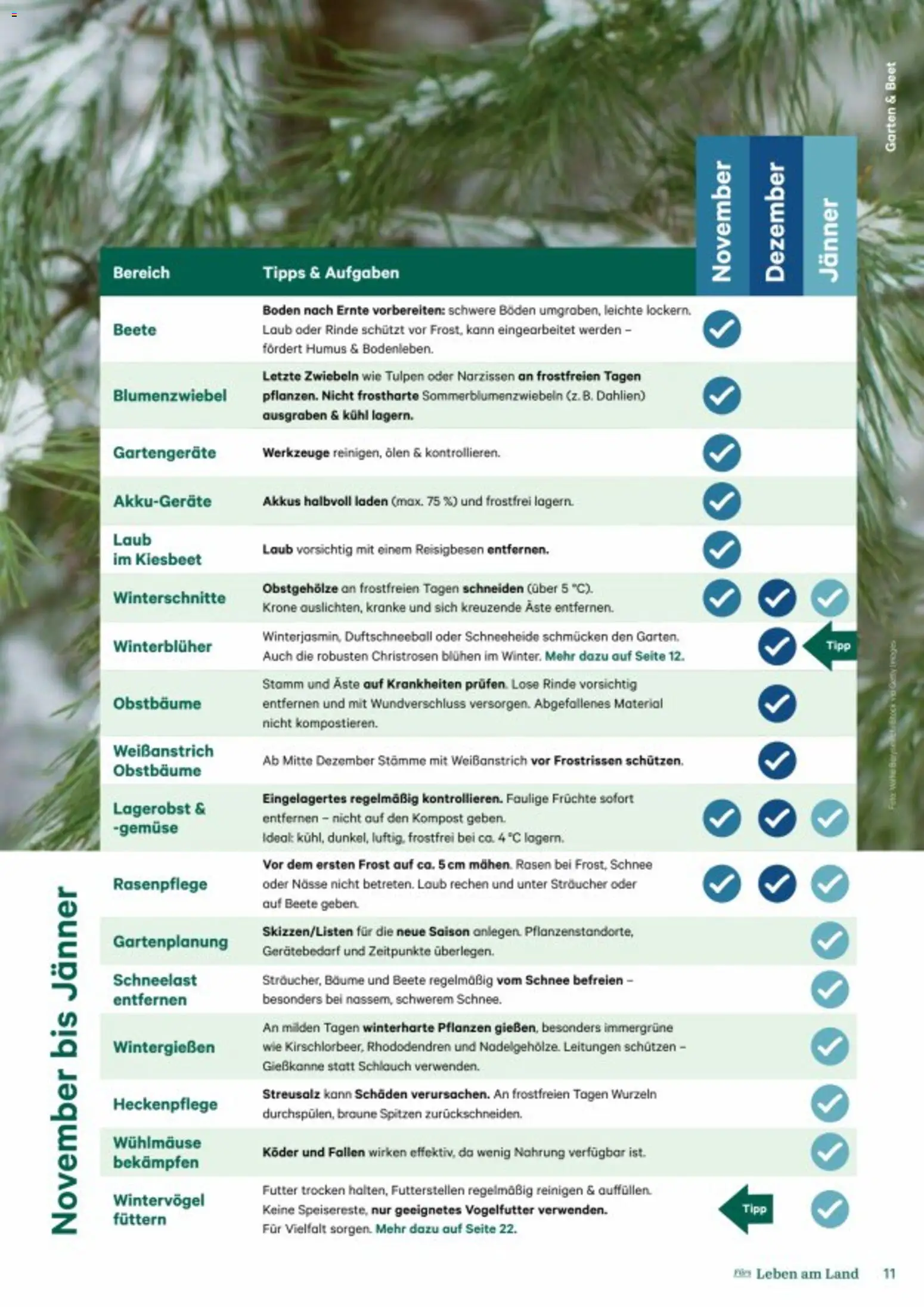 Lagerhaus Fürs Leben am Land gültig ab 01.11.2025 | Seite: 11 | Produkte: Hut, Petersilie