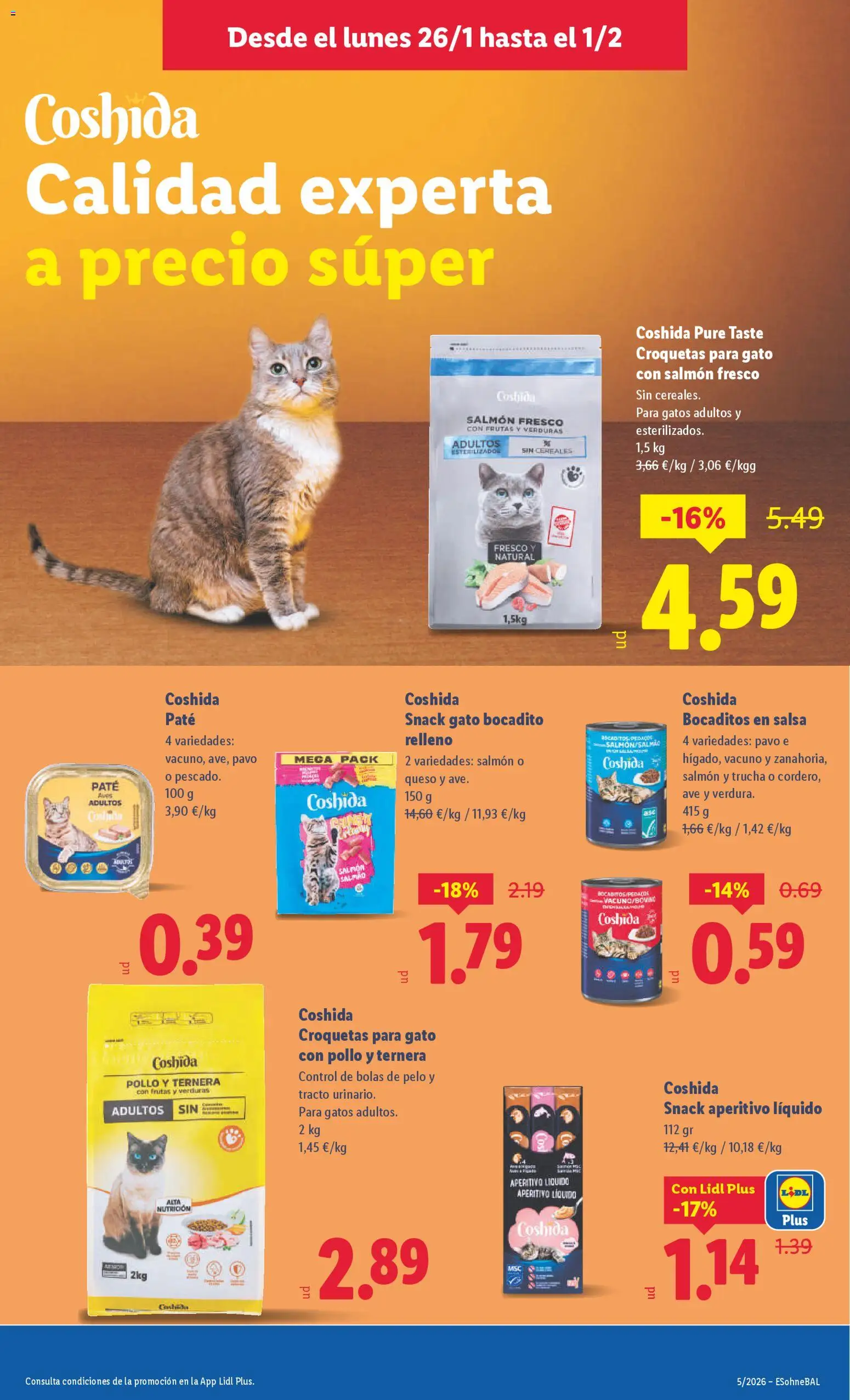 Lidl folleto de bazar │ válido desde el 26.01.2026 | Página: 13 | Productos: Queso, Paté, Cereales, Croquetas