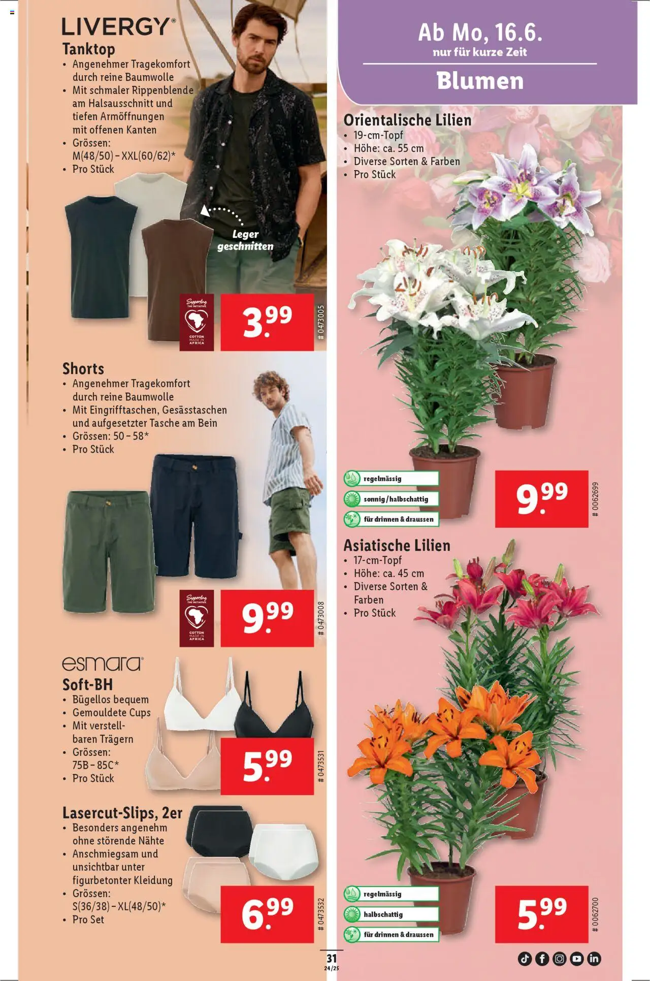 Lidl Aktionen ab 12.06.2025 | Seite: 31 | Produkte: Tanktop, Top, Tasche