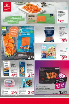 Selgros Prospekt 	 - gültig ab dem 07.08.2025 | Seite: 16