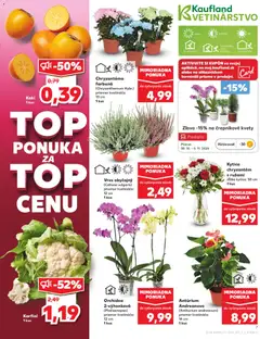 Kaufland SK Bratislava-Devínska Nová Ves - amely érvényes a következő dátumtól: 30.10.2025 | Oldal: 7 | Termékek: Orchidea, Karfiol