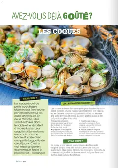  | Page: 64