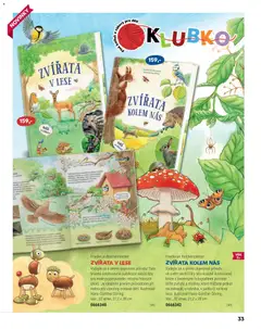 Náhled letáku Luxor leták od 01.01.2026 | Strana: 33 | Produkty: Vajíčka, Ghí