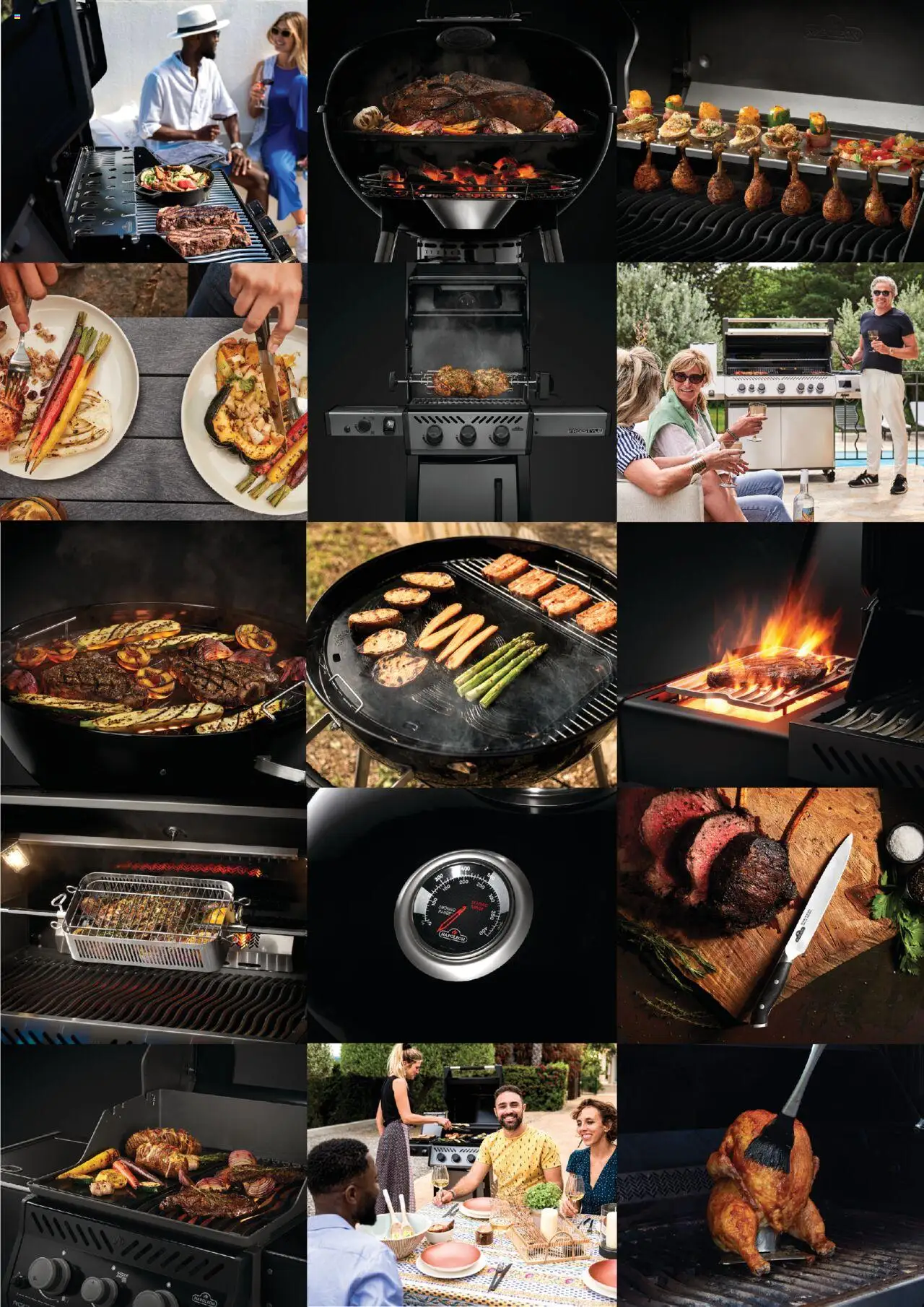 Mangas Home Improvement - Napoleon BBQs – σε ισχύ από 01.10.2025 | Σελίδα: 51