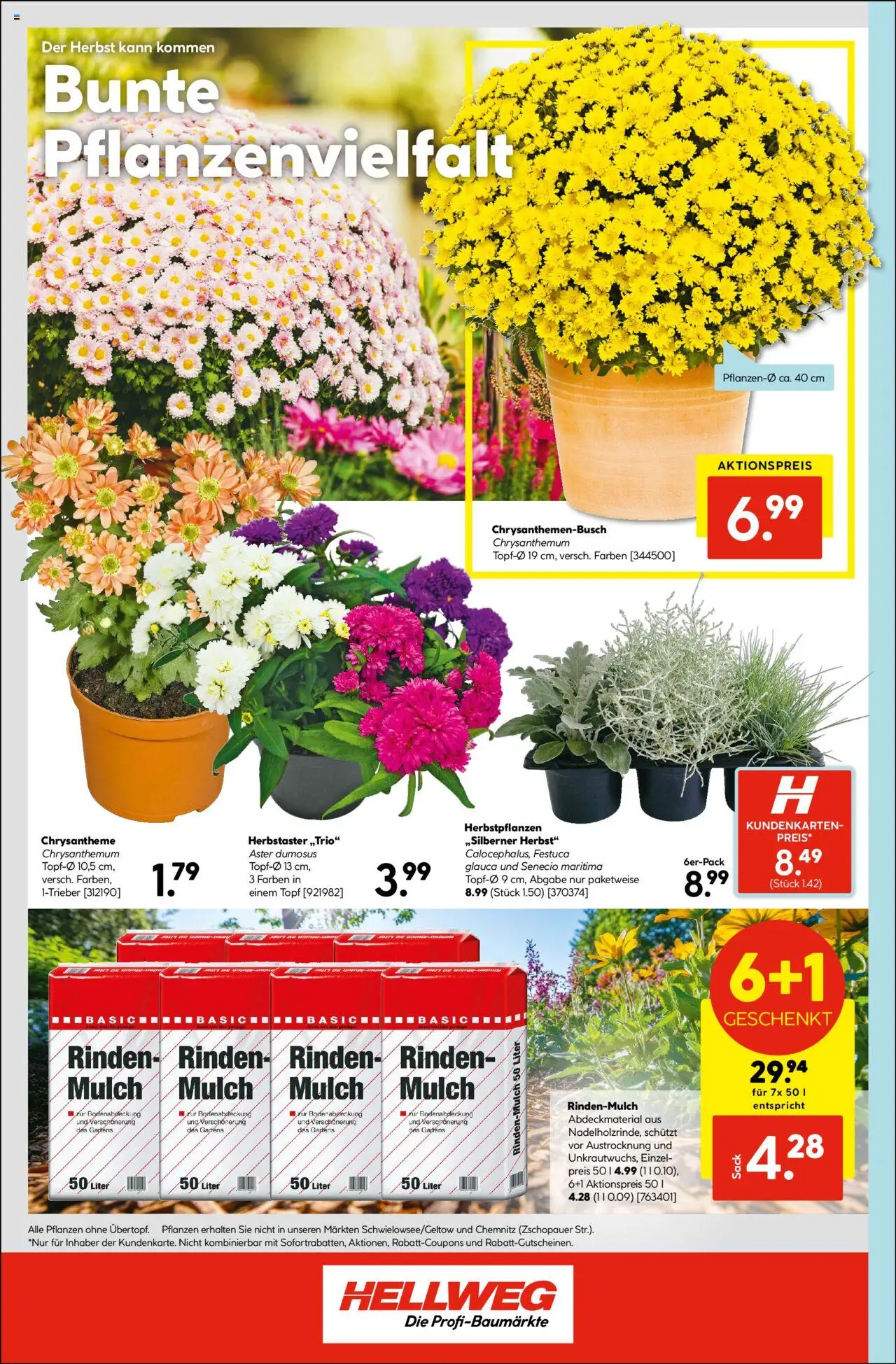 Hellweg Prospekt 	 - gültig ab dem 18.08.2025 | Seite: 16 | Produkte: Rindenmulch