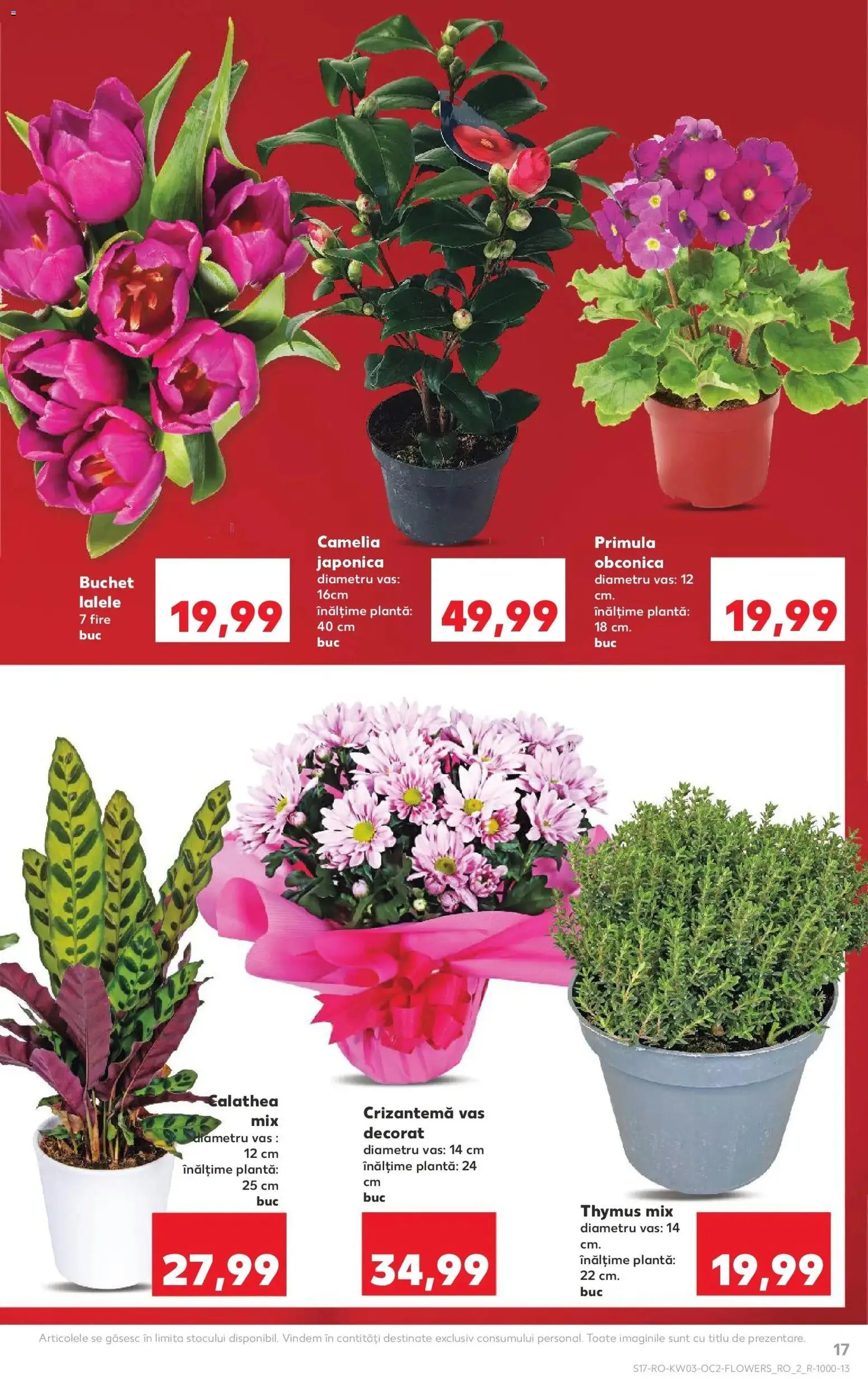 Noul catalog Kaufland – valabil de la 14.01.2026 | Pagină: 17