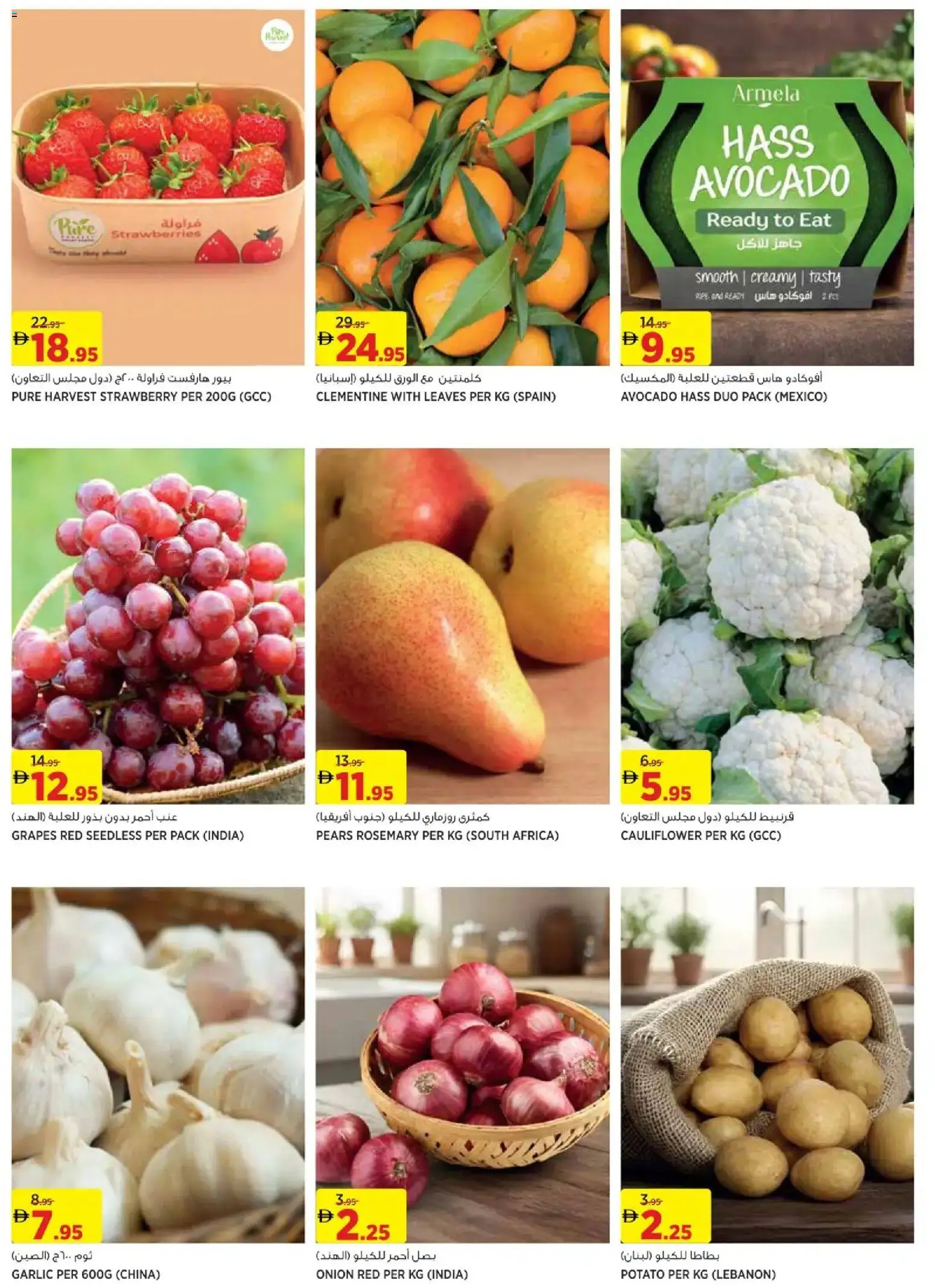 {H1} | Page: 2 | Products: Burro