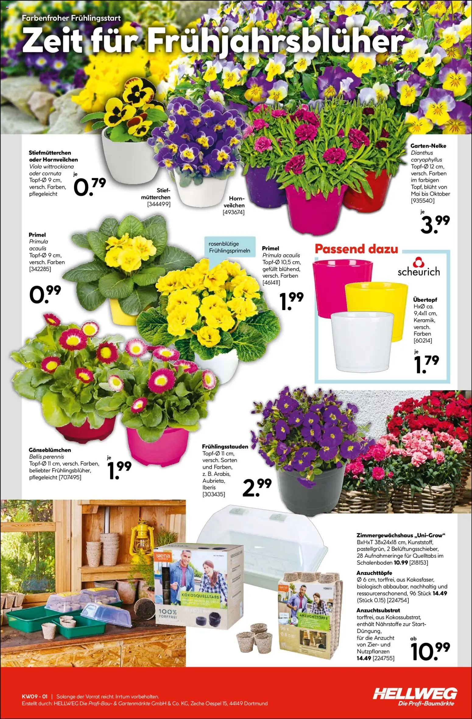 Hellweg Prospekt – gültig ab 23.02.2026 | Seite: 15 | Produkte: Stiefmutterchen