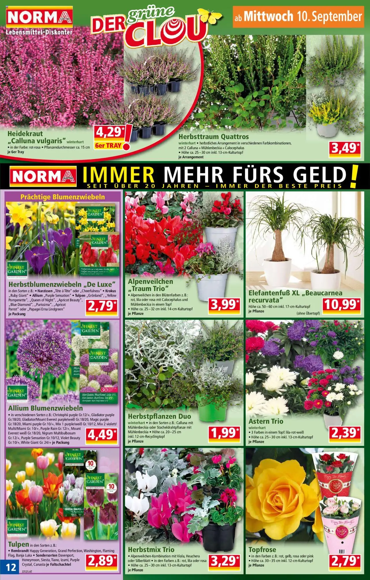 Norma Flugblatt gültig ab 08.09.2025 | Seite: 12