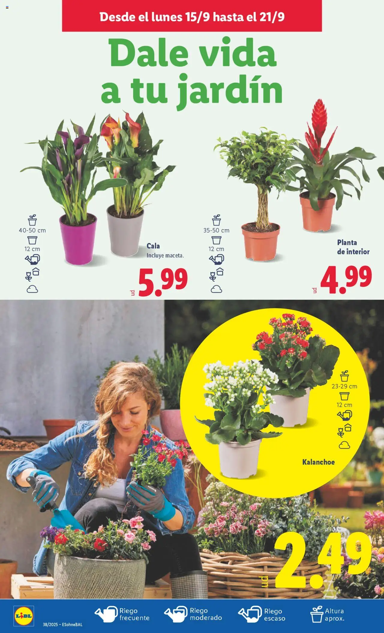 Lidl folleto │ válido desde el 15.09.2025 | Página: 30