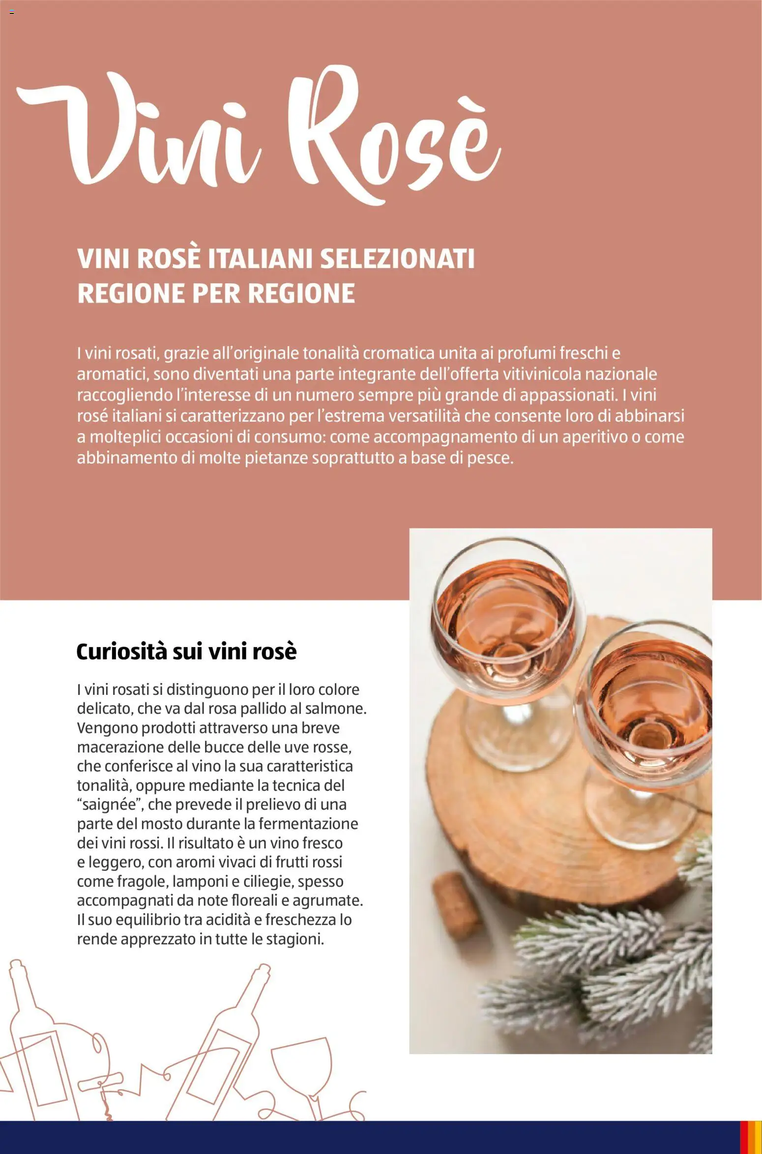 Volantino Aldi del 12.01.2026 | Pagina: 46 | Prodotti: Lamponi, Vino, Aperitivo