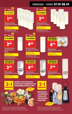 Pogląd oferty "Biedronka gazetka" - ważna od 27.10.2025 | Strona: 17