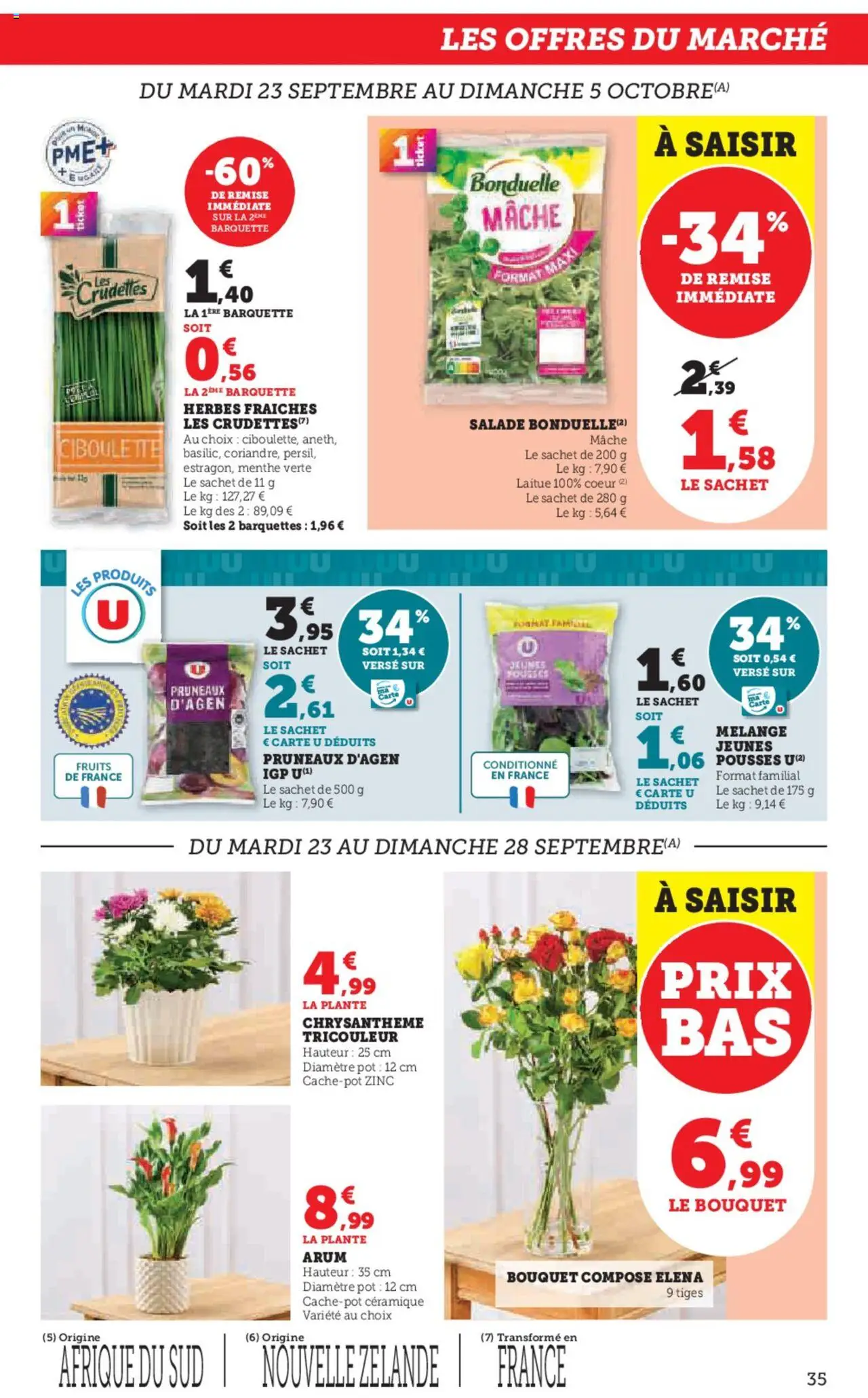  | Page: 35 | Produits: Menthe, Laitue, Mâche, Chrysanthème
