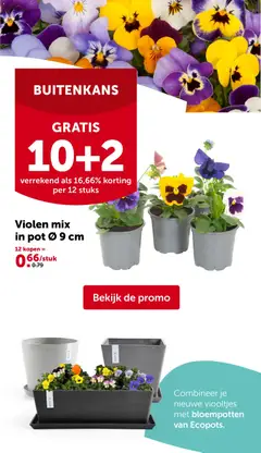 Aveve folder - Voorbeeld van een folder van Aveve, geldig van 11.02.2026 | Pagina: 9 | Producten: Nourriture pour chat, Pot