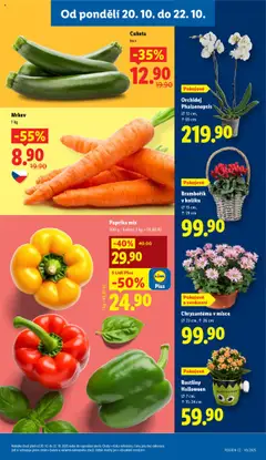 Náhled letáku Rostliny Halloween, Ø 7 cm,, ↑15-24 cm od 20.10.2025 | Strana: 9 | Produkty: Orchidej, Mrkev, Cuketa, Pokojové rostliny