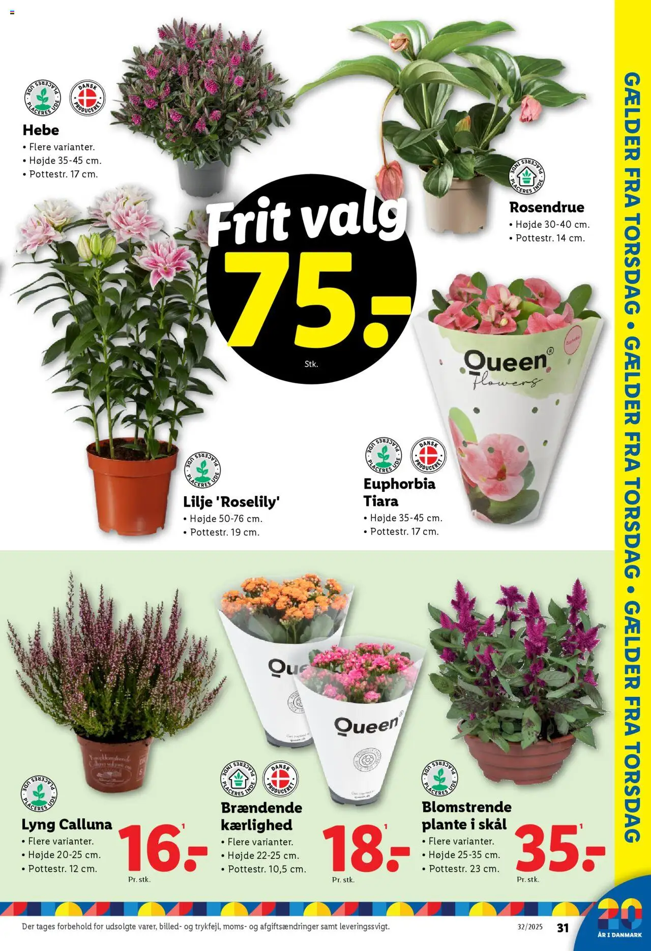 Lidl Tilbudsavis gyldig fra 03.08.2025 | Side: 37