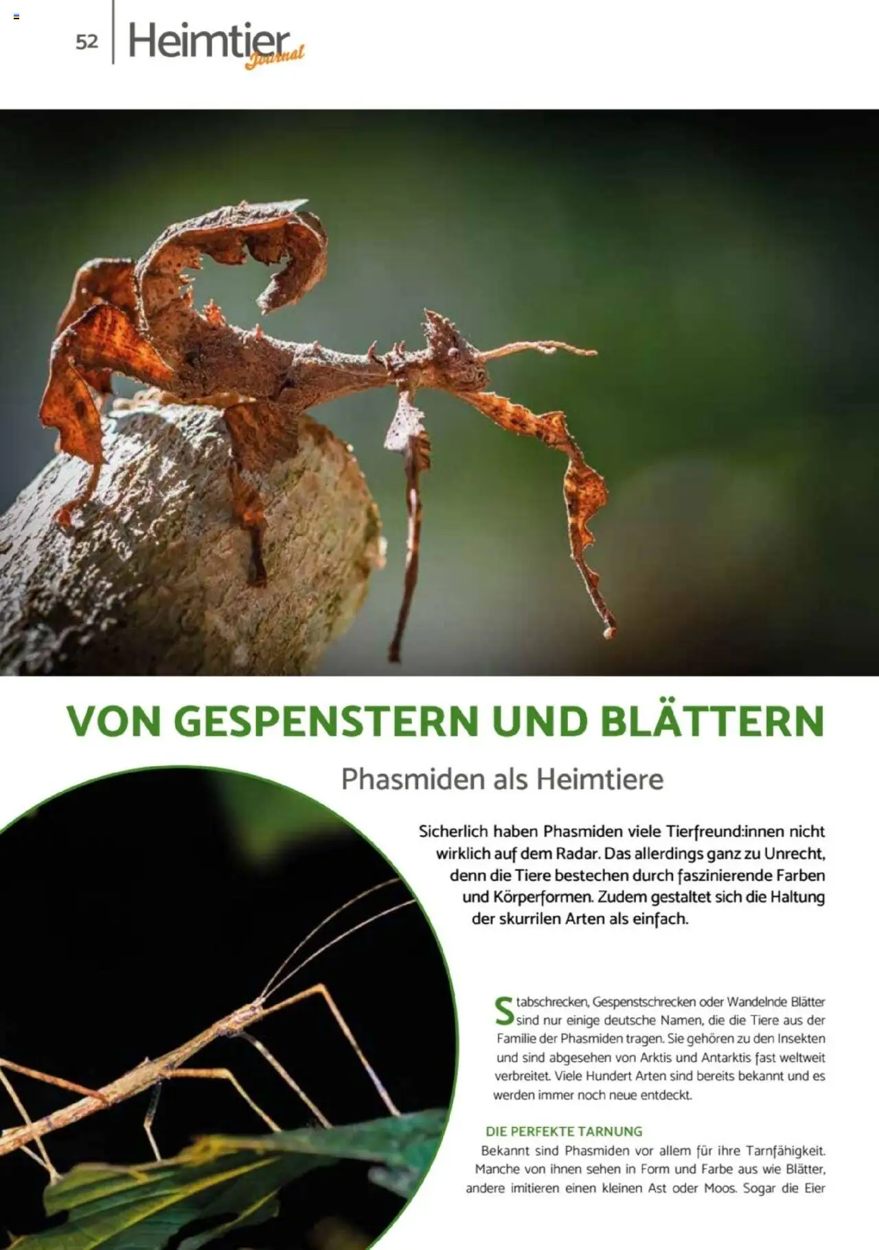 zookauf  Heimtier Journal - gültig ab dem 21.07.2025 | Seite: 52 | Produkte: Eier