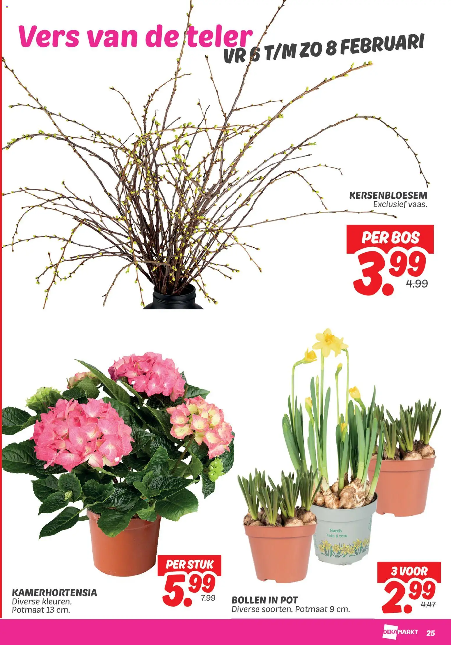 {H1} | Pagina: 27 | Producten: Pot