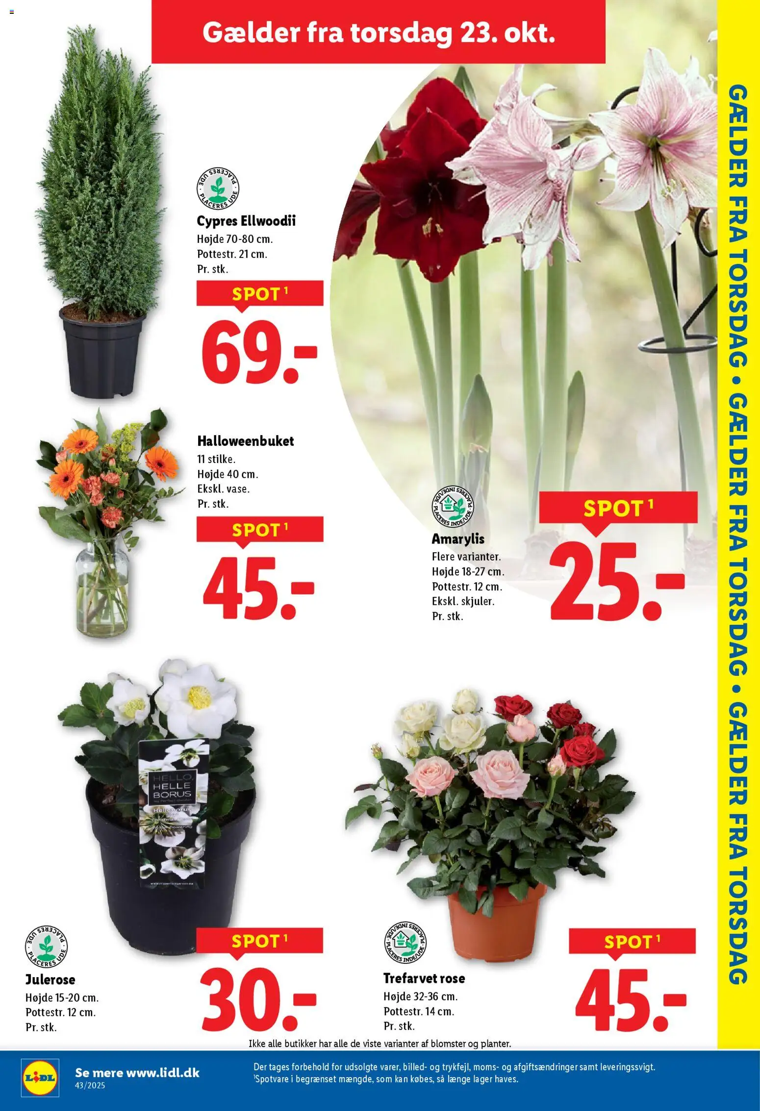 Lidl tilbudsavis – gyldig fra 23.10.2025 | Side: 13 | Produkter: Søm