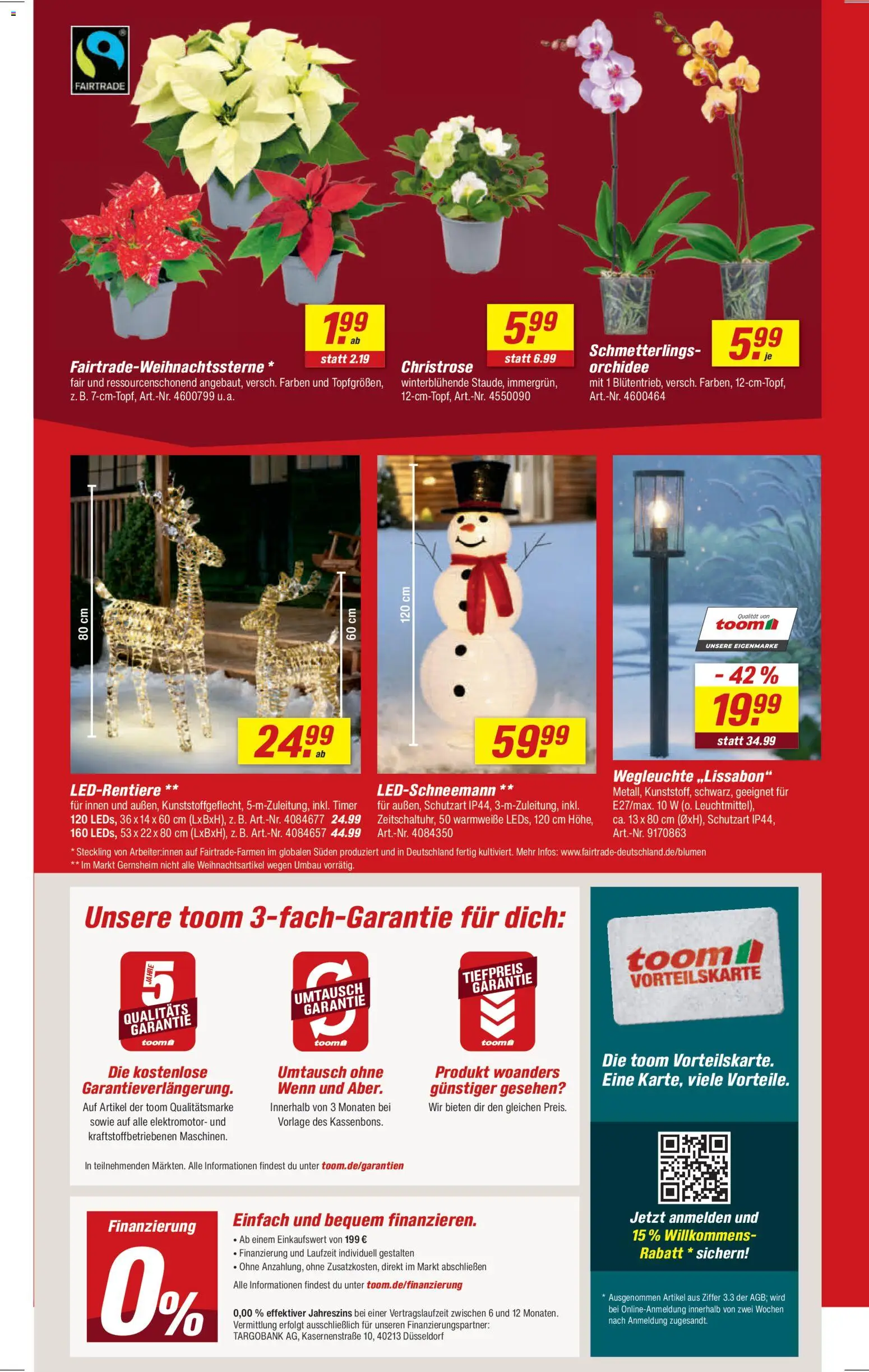 Toom Baumarkt Prospekt 	 – gültig ab 08.11.2025 | Seite: 2 | Produkte: Orchidee