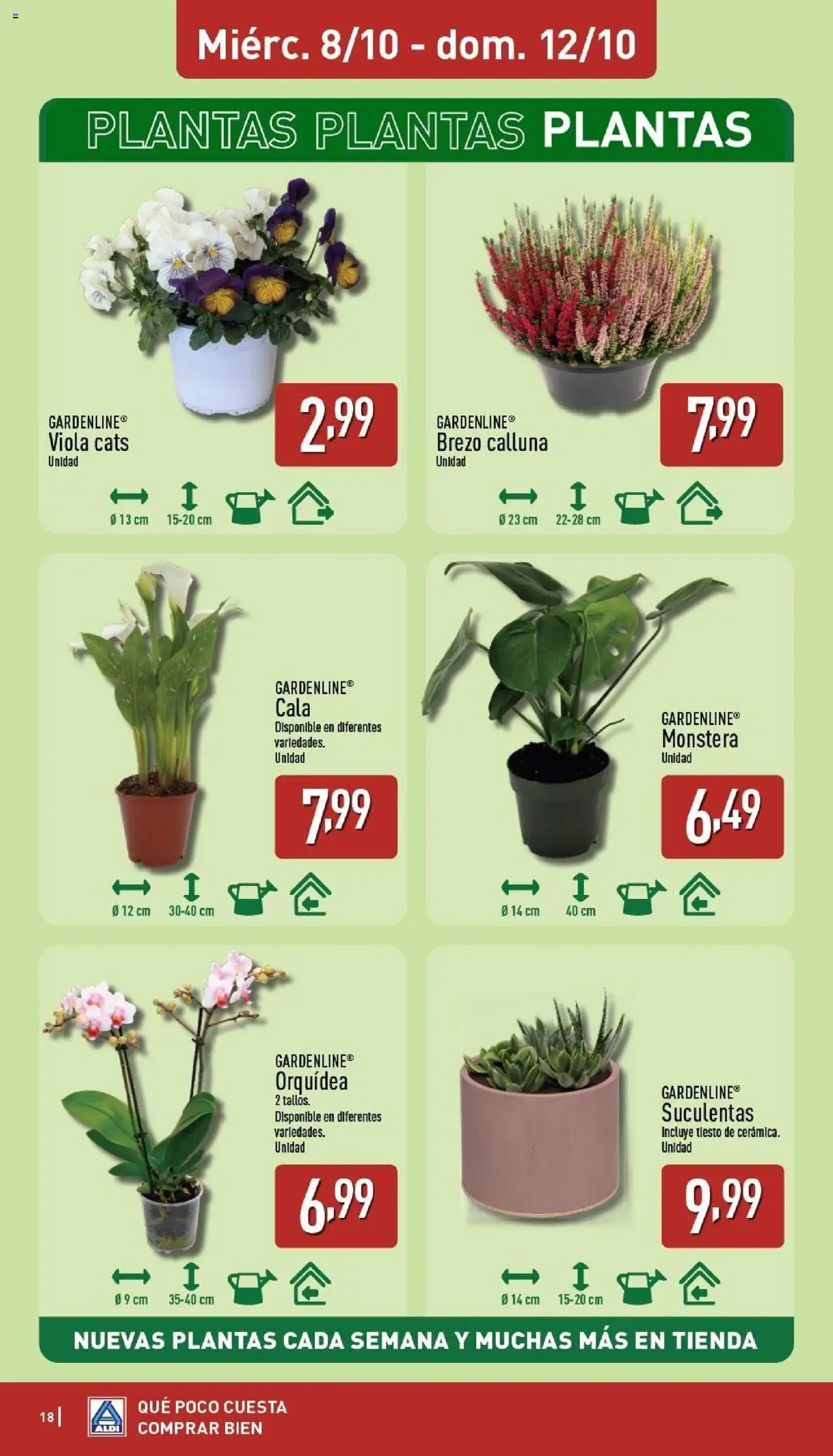 Aldi folleto Península │ válido desde el 06.10.2025 | Página: 18