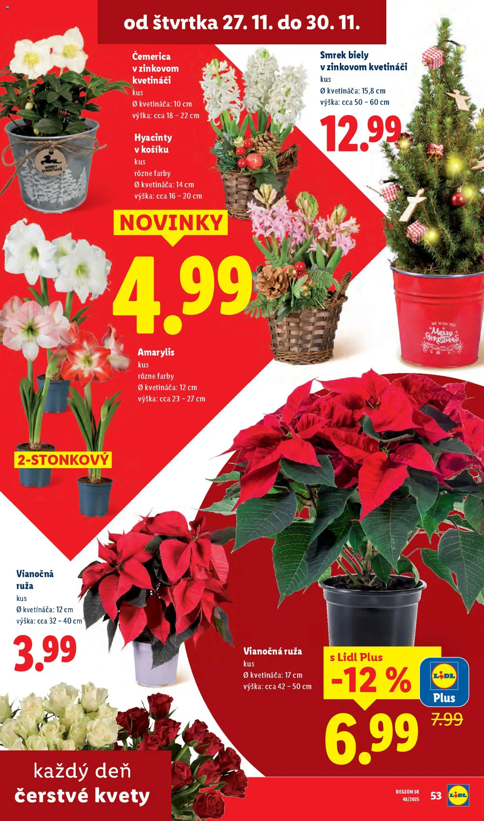 Nové Lidl akcie – leták je platný od 27.11.2025 | Strana: 31 | Produkty: Kvety
