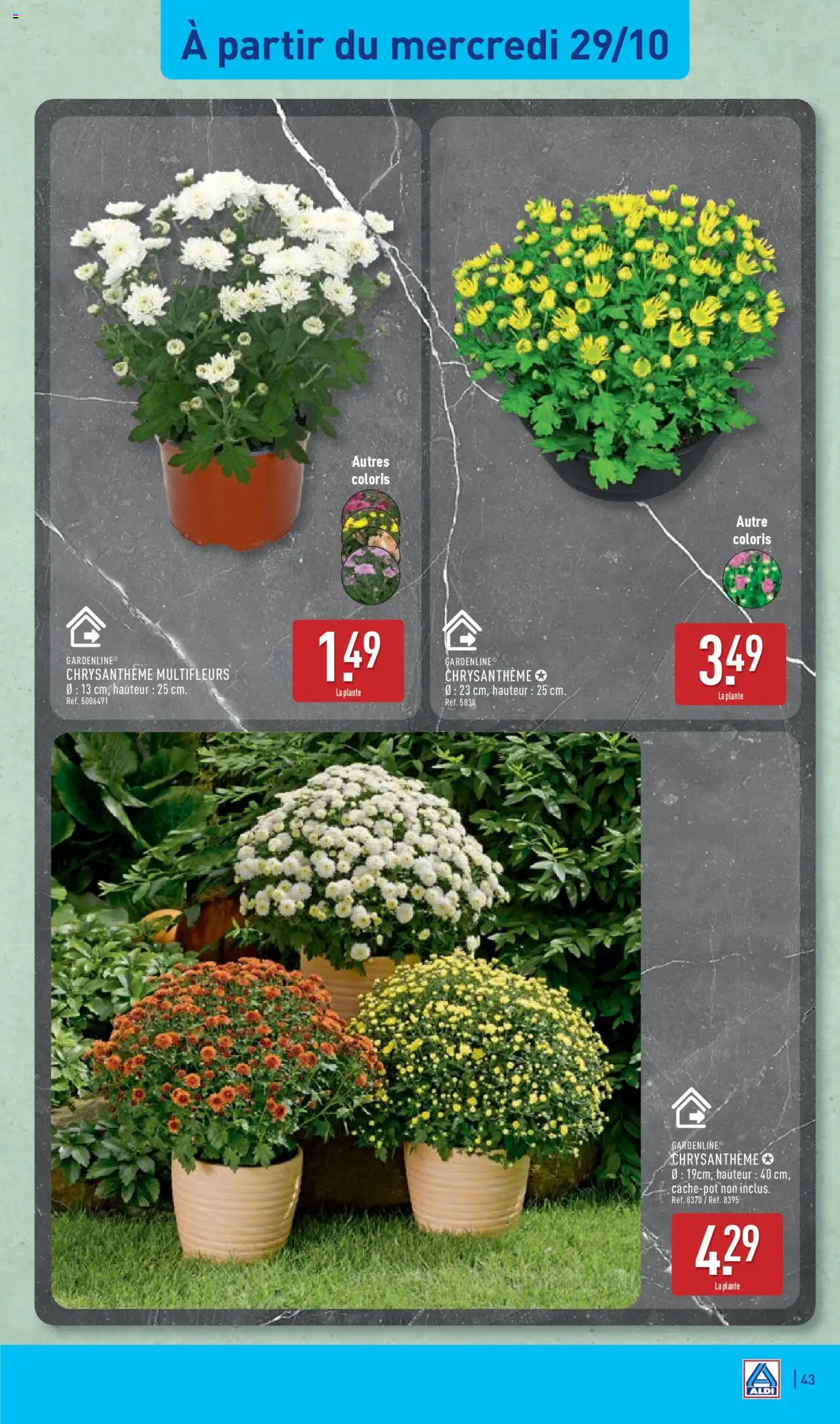 {H1} | Page: 47 | Produits: Chrysanthème