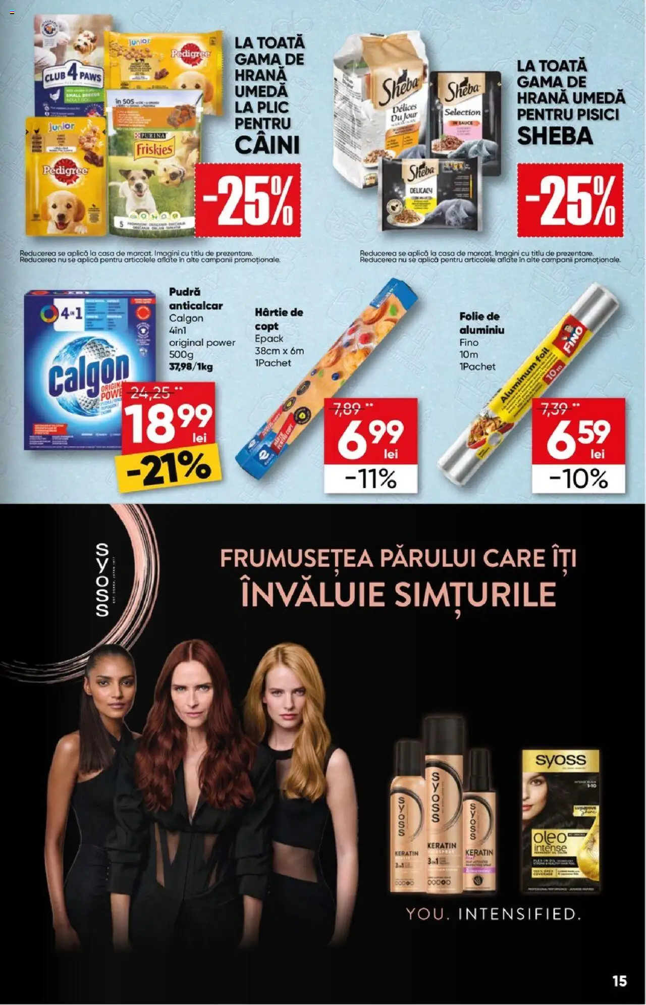 Catalog Profi  – valabil de la 06.08.2025 | Pagină: 15 | Produse: Pudră, Sos