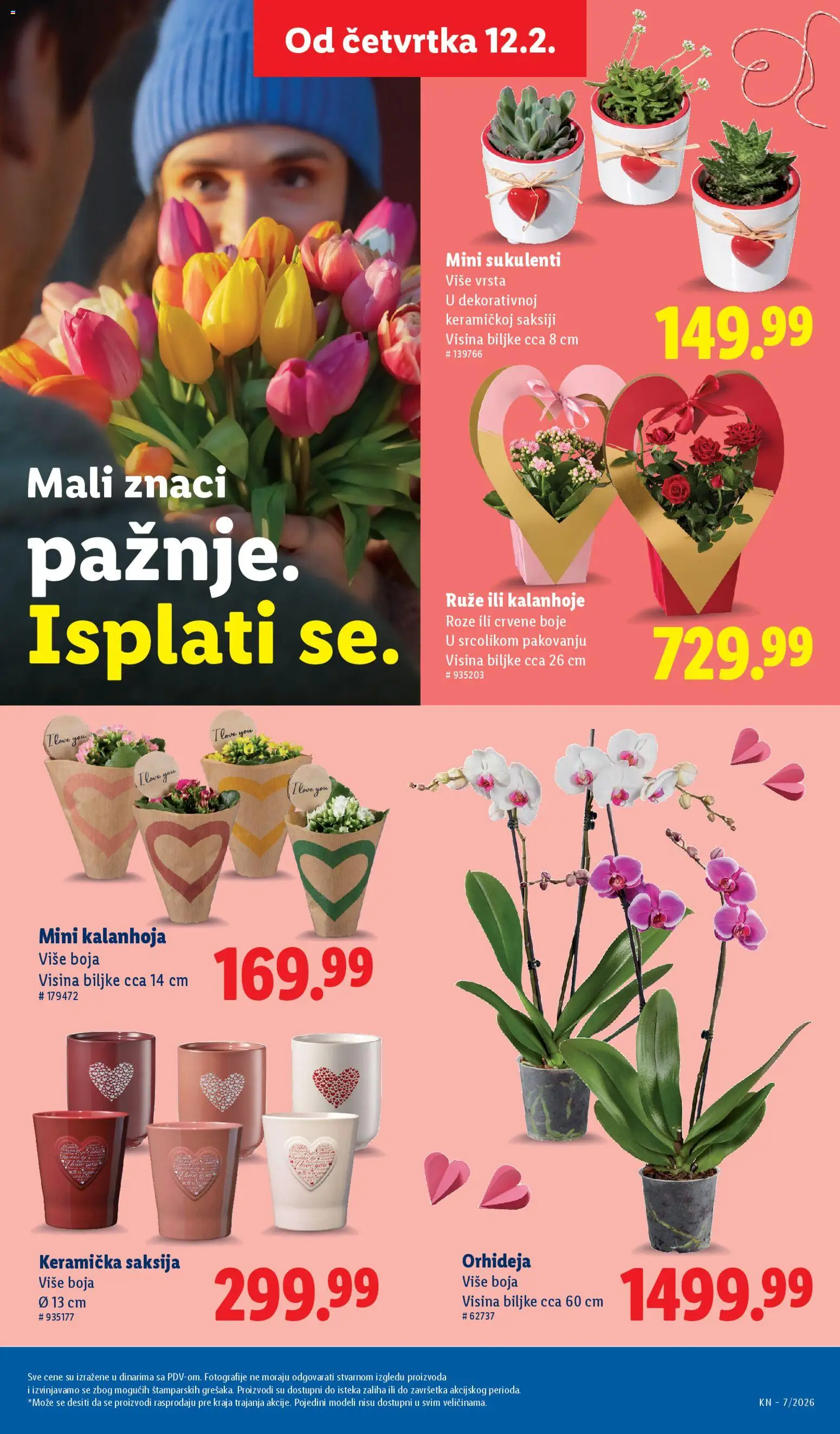 Lidl katalog - važi od 12.02.2026 | Strana: 17