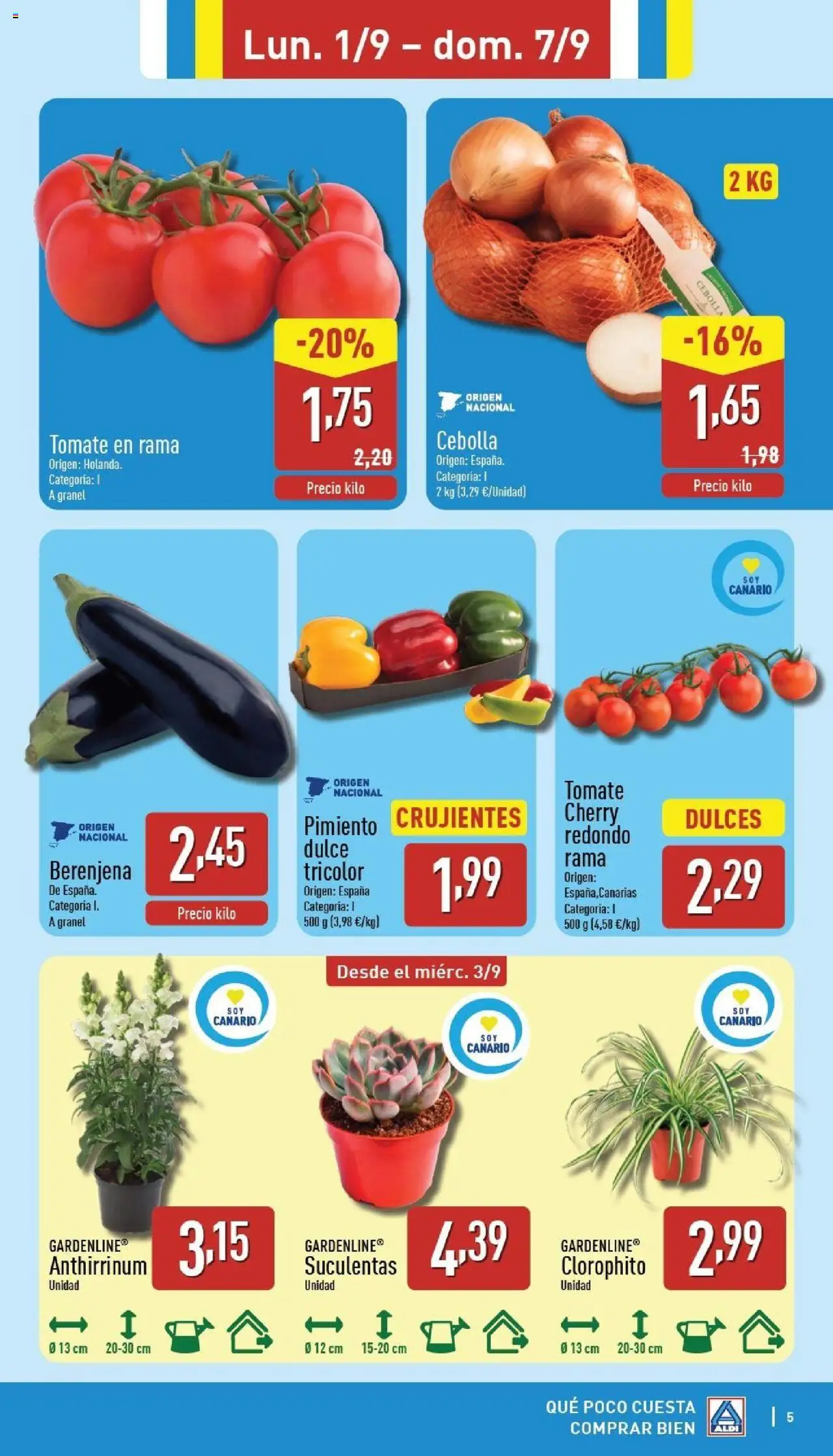 Aldi folleto Canarias │ válido desde el 01.09.2025 | Página: 5 | Productos: Κάδος απορρυμάτων, Παγωμένο τσάι