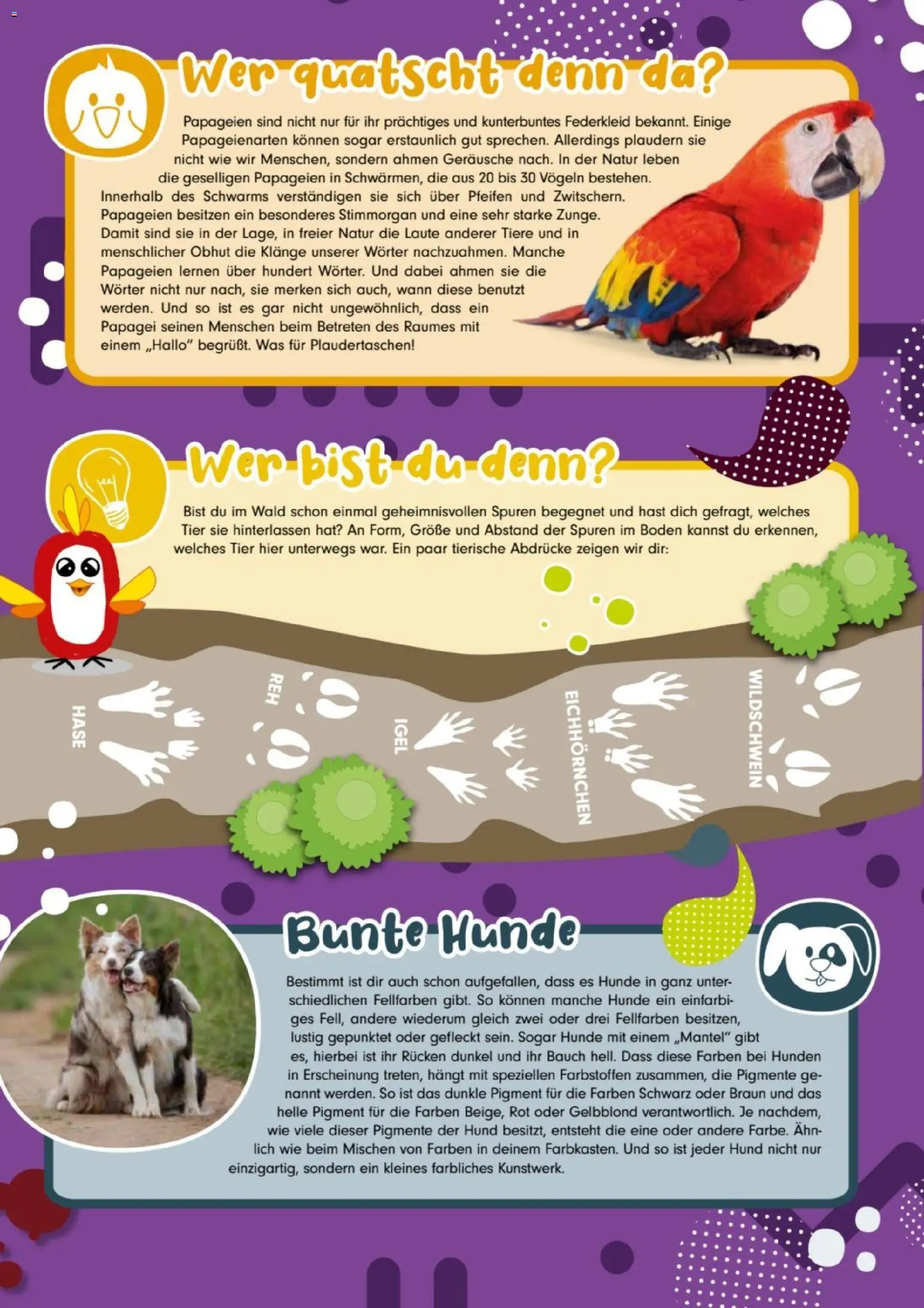 zookauf Kids – gültig ab 01.04.2026 | Seite: 3