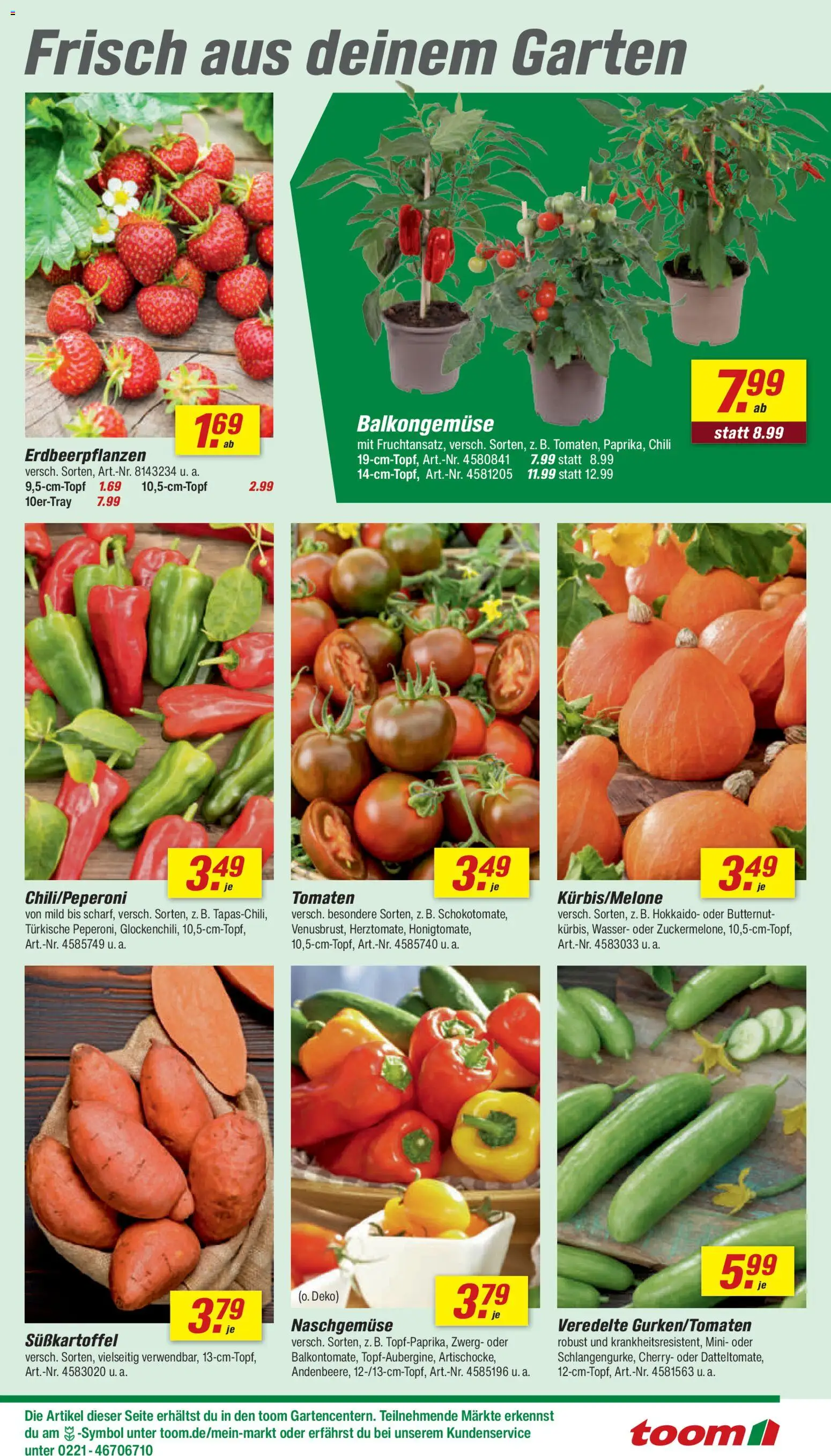 Toom Baumarkt Prospekt 	 – gültig ab 02.05.2026 | Seite: 5 | Produkte: Tomaten, Wasser, Chili