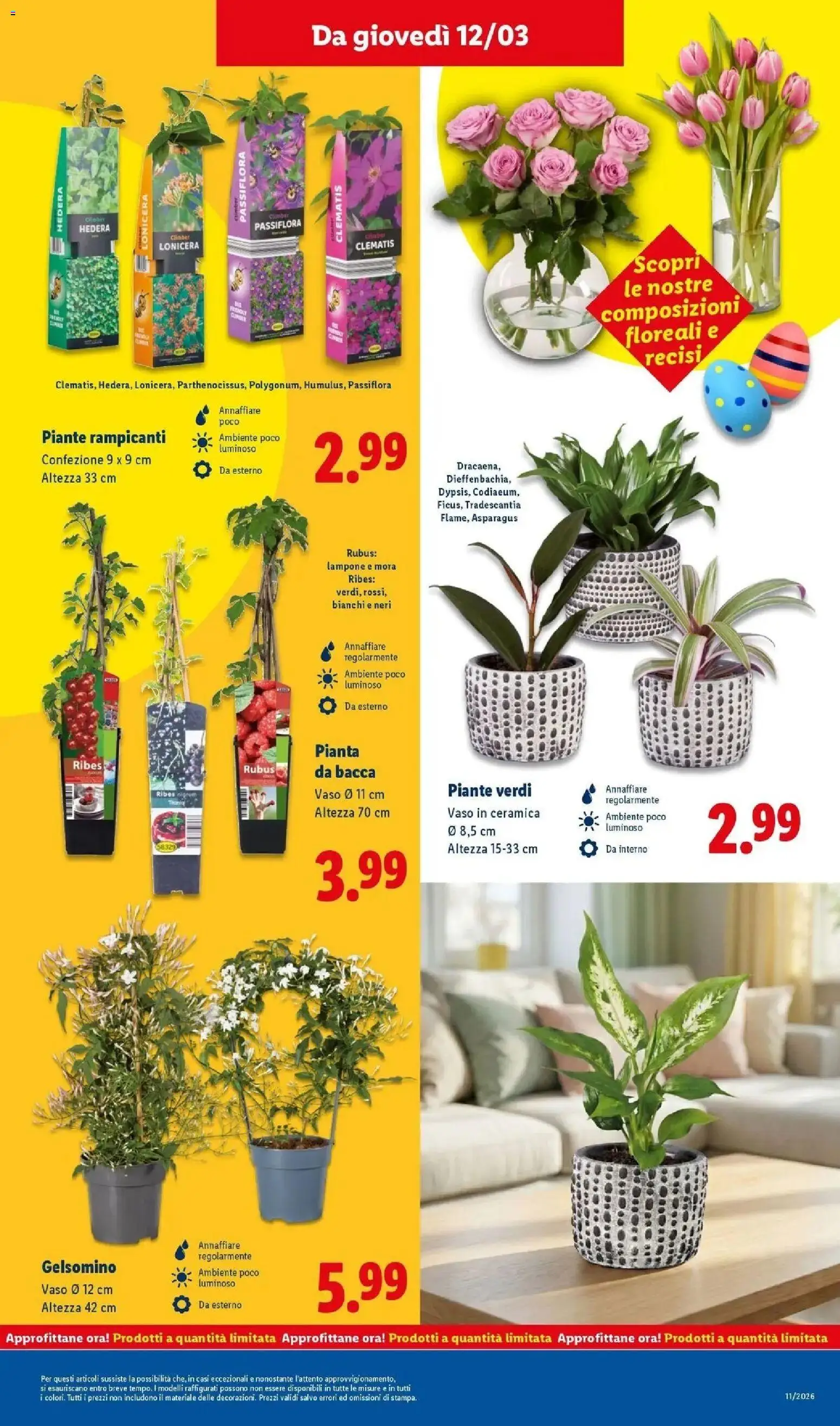 Volantino Lidl del 09.03.2026 | Pagina: 37 | Prodotti: Lampone, Vaso