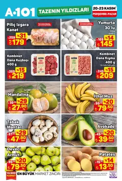 20.11.2025 tarihinden itibaren geçerli olan A101 kataloğu önizlemesi
